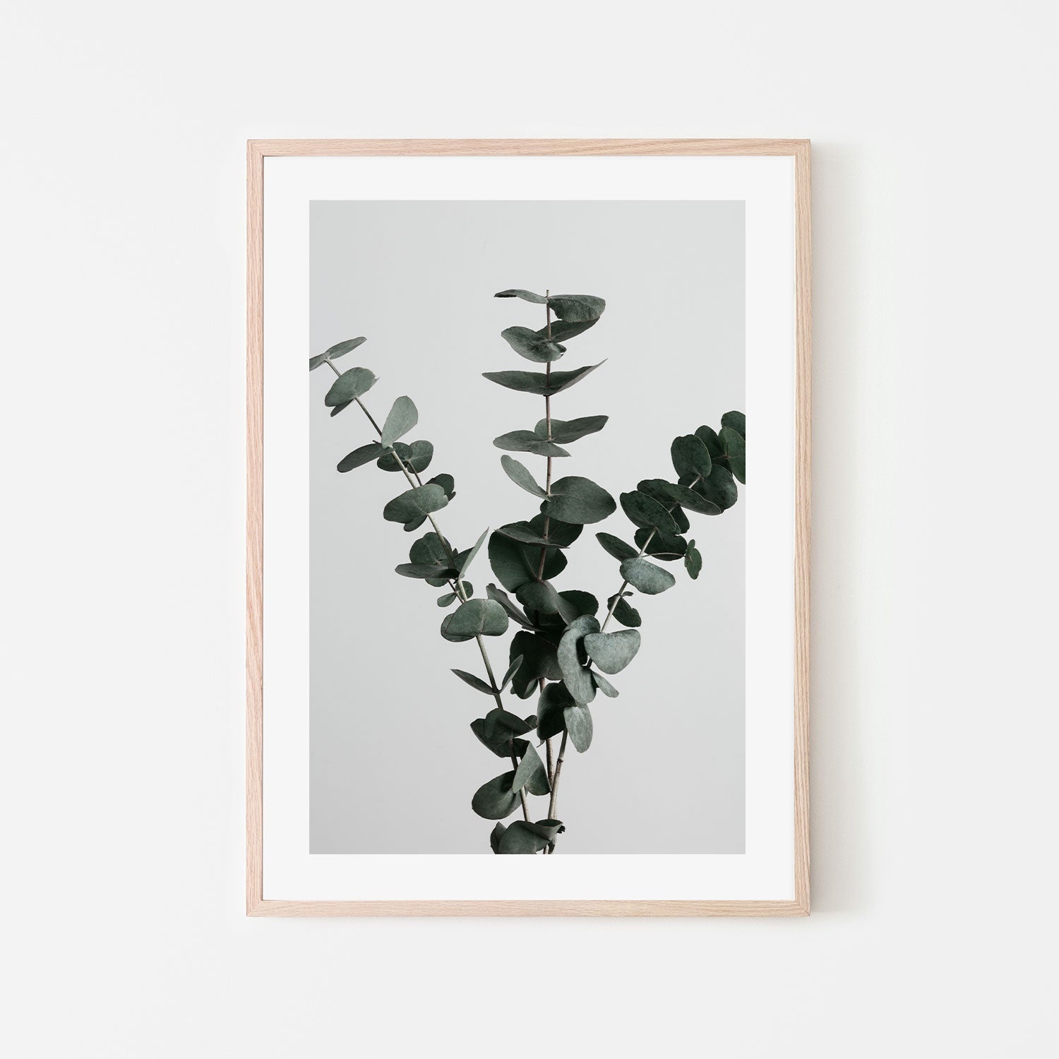 wall-art-print-canvas-poster-framed-Eucalyptus Natural, Style A-by-Plus X Studio-Gioia Wall Art