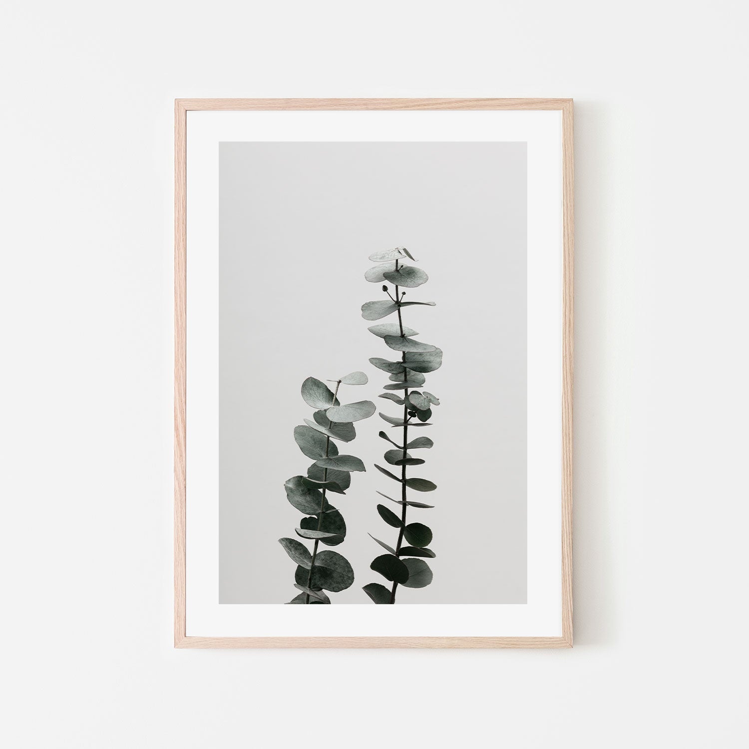 wall-art-print-canvas-poster-framed-Eucalyptus Natural, Style B-by-Plus X Studio-Gioia Wall Art