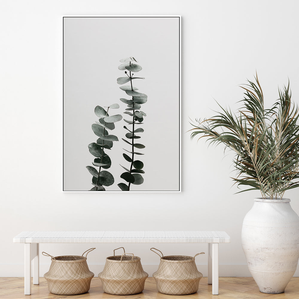 wall-art-print-canvas-poster-framed-Eucalyptus Natural, Style B-by-Plus X Studio-Gioia Wall Art
