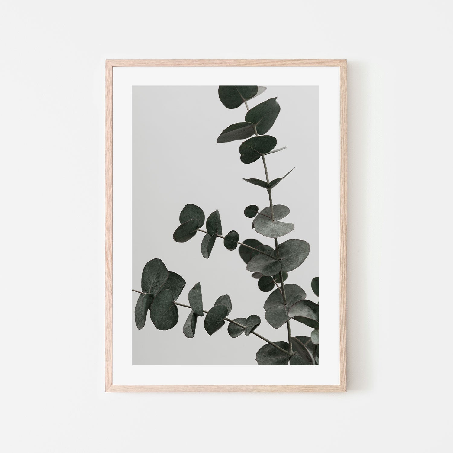 wall-art-print-canvas-poster-framed-Eucalyptus Natural, Style C-by-Plus X Studio-Gioia Wall Art