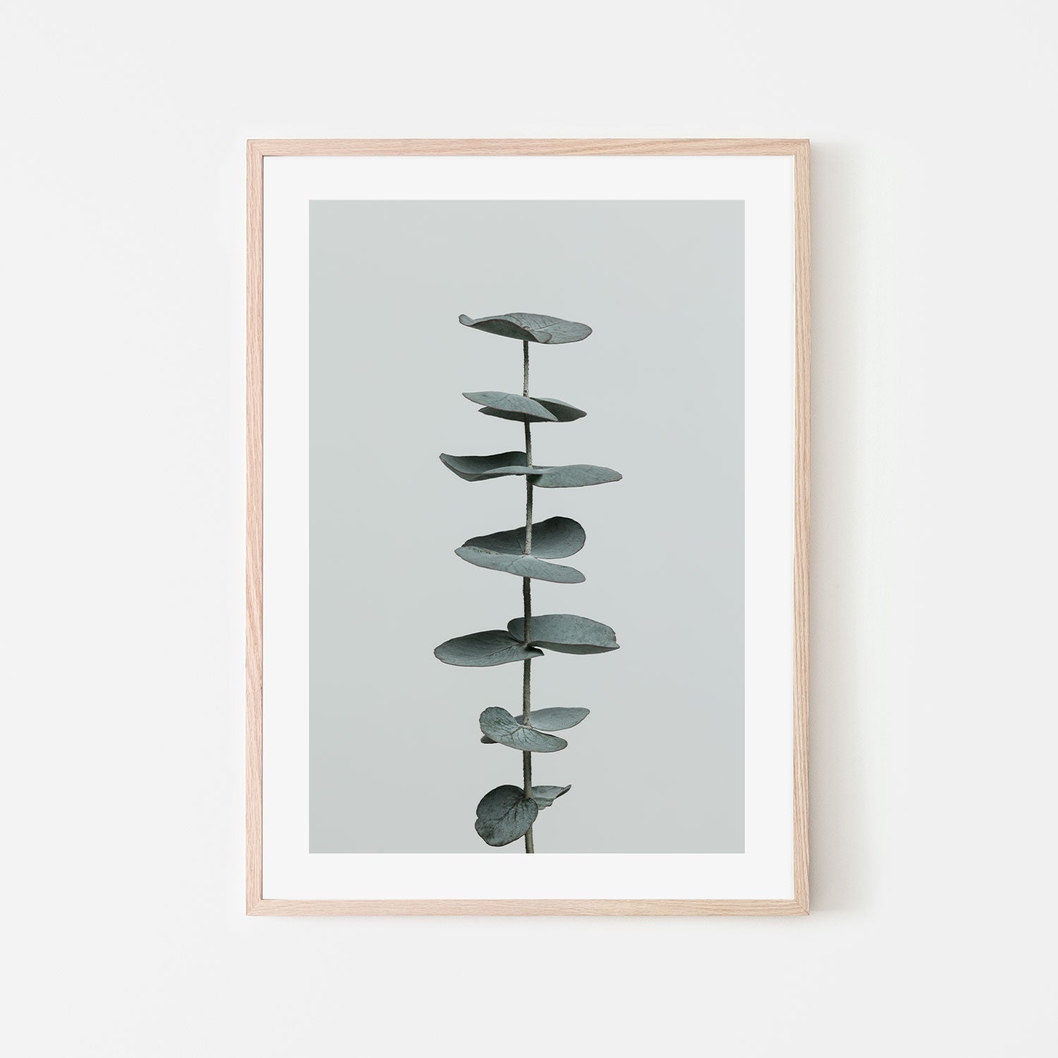 wall-art-print-canvas-poster-framed-Eucalyptus Natural, Style E-by-Plus X Studio-Gioia Wall Art
