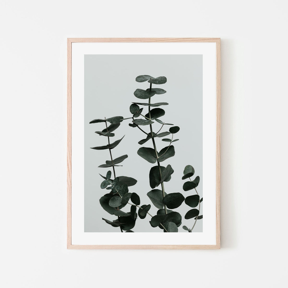 wall-art-print-canvas-poster-framed-Eucalyptus Natural, Style F-by-Plus X Studio-Gioia Wall Art