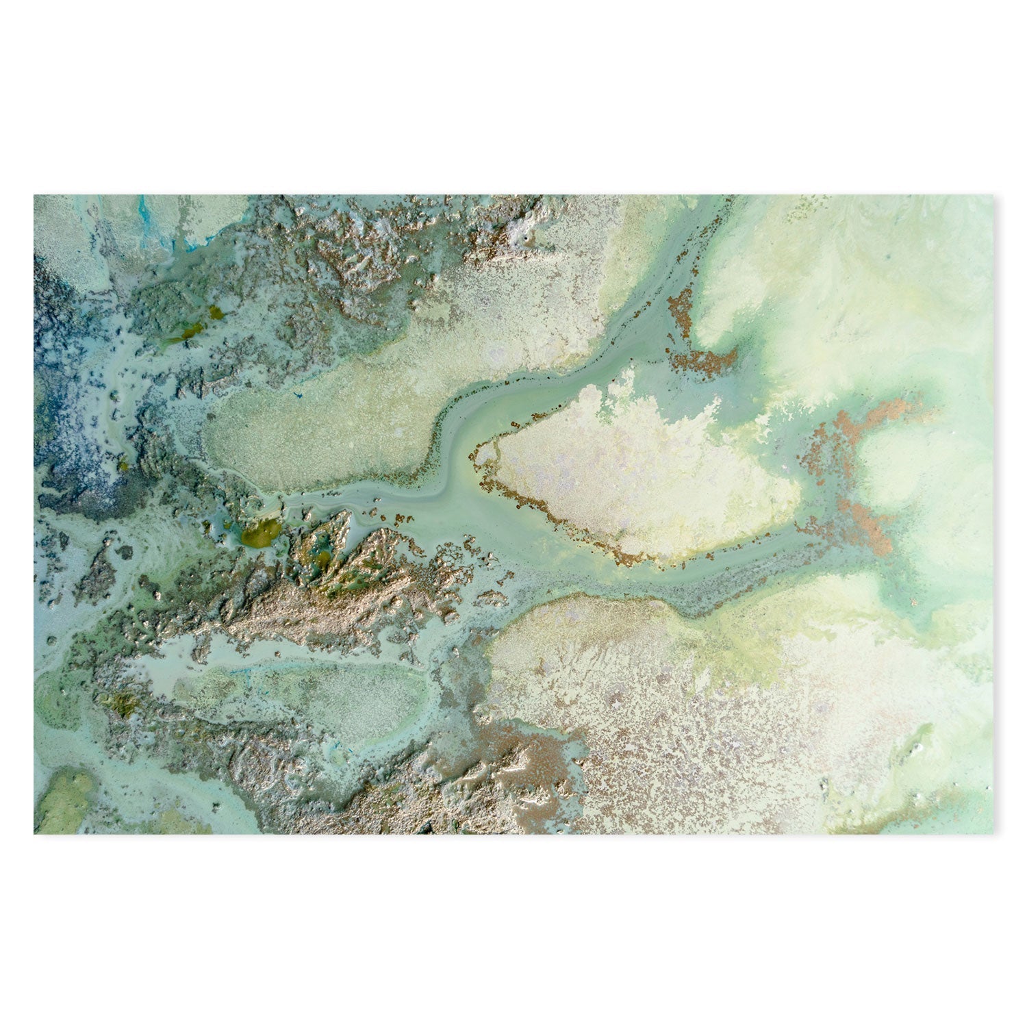 wall-art-print-canvas-poster-framed-Evergreen , By Petra Meikle-GIOIA-WALL-ART