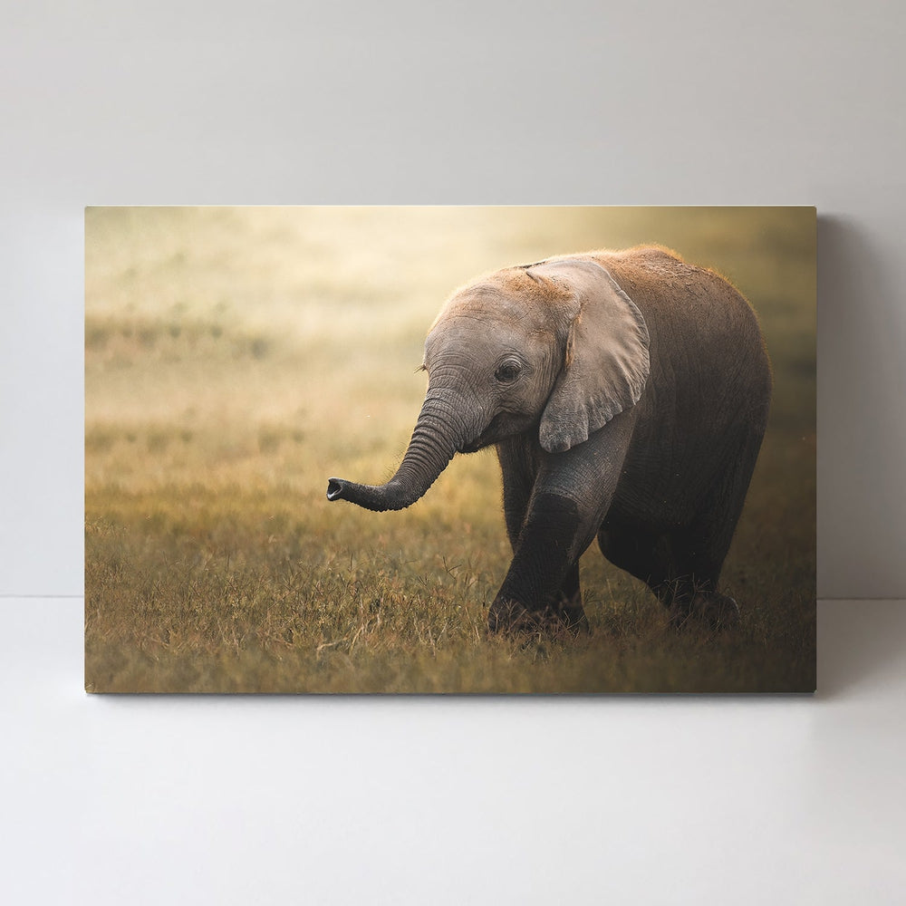 wall-art-print-canvas-poster-framed-Falafelo, By Ahmed Sobhi-by-Plus X Studio-Gioia Wall Art