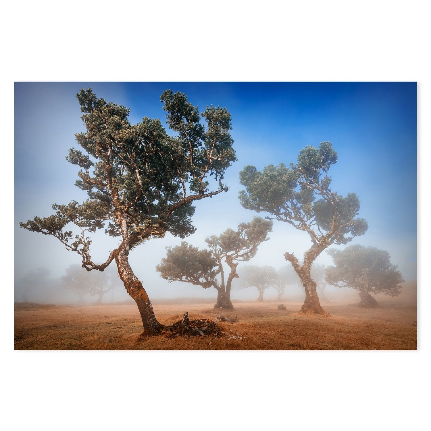 wall-art-print-canvas-poster-framed-Fanal, by Adrian Popan-by-Plus X Studio-Gioia Wall Art