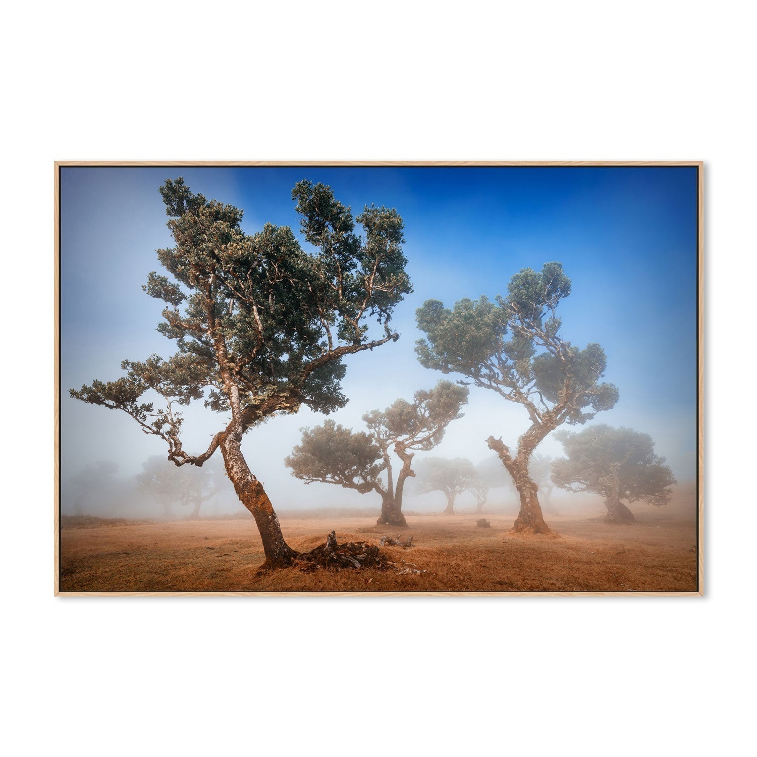 wall-art-print-canvas-poster-framed-Fanal, by Adrian Popan-by-Plus X Studio-Gioia Wall Art