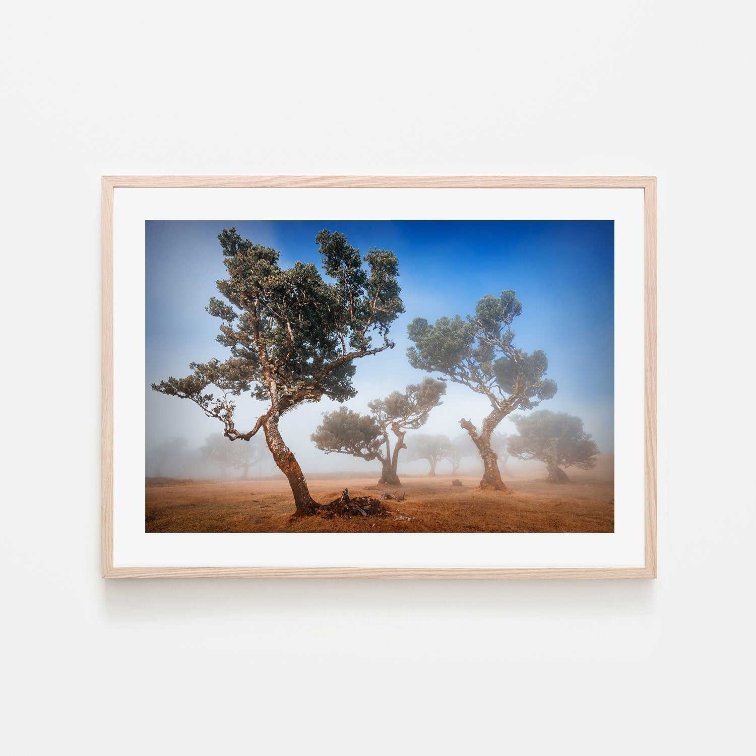 wall-art-print-canvas-poster-framed-Fanal, by Adrian Popan-by-Plus X Studio-Gioia Wall Art