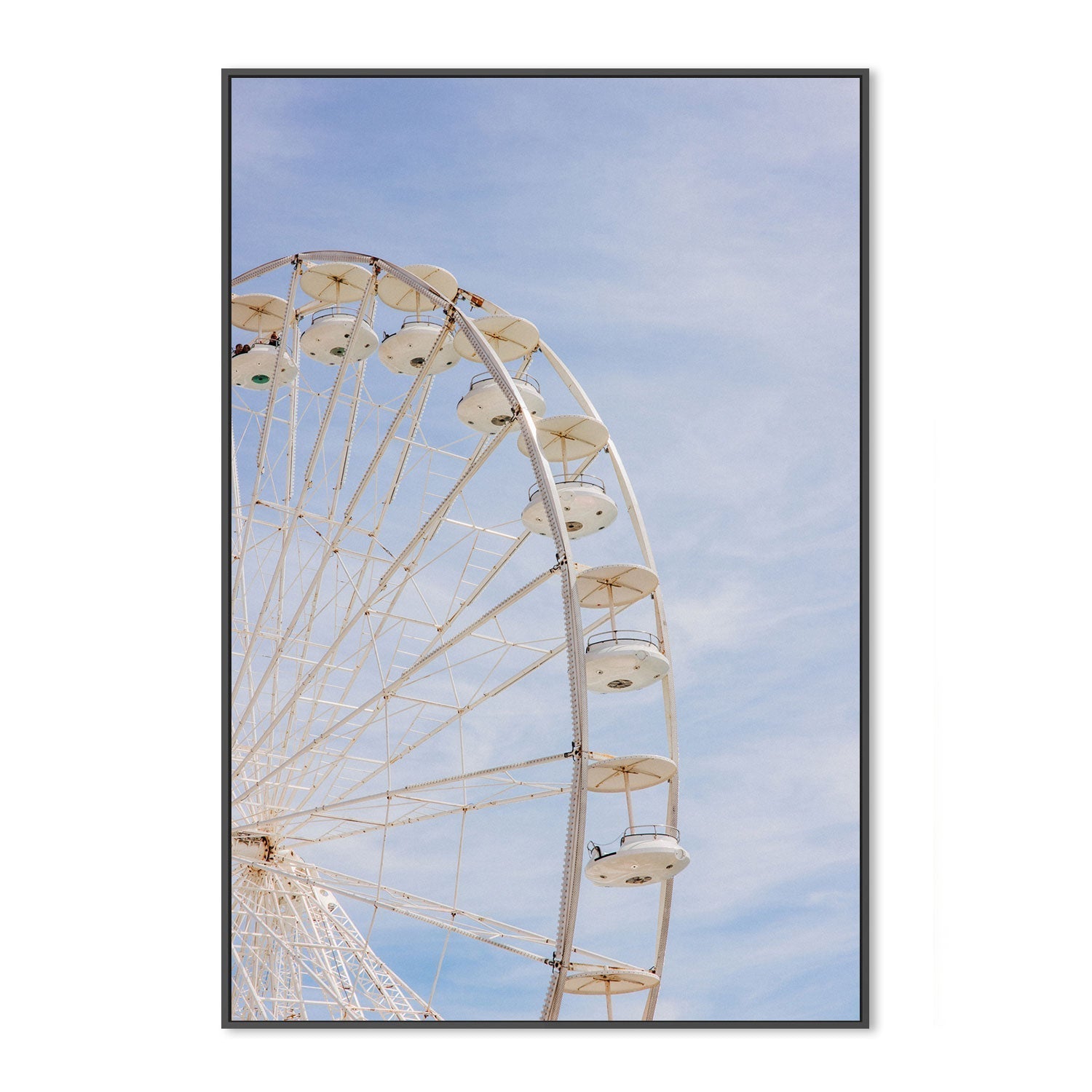 wall-art-print-canvas-poster-framed-Ferris-by-Jovani Demetrie-Gioia Wall Art