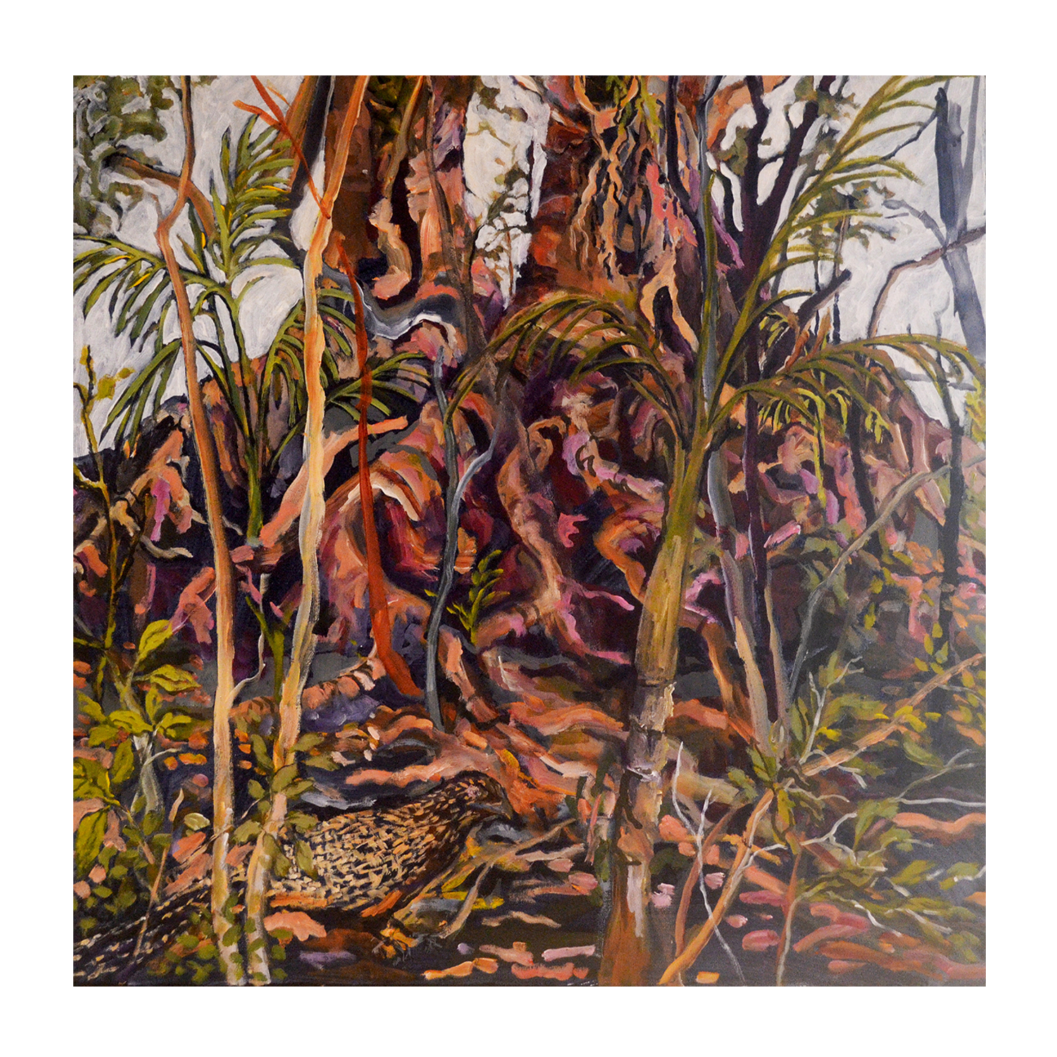 wall-art-print-canvas-poster-framed-Fig Tree And Pheasant Coucal , By Christine Read-1