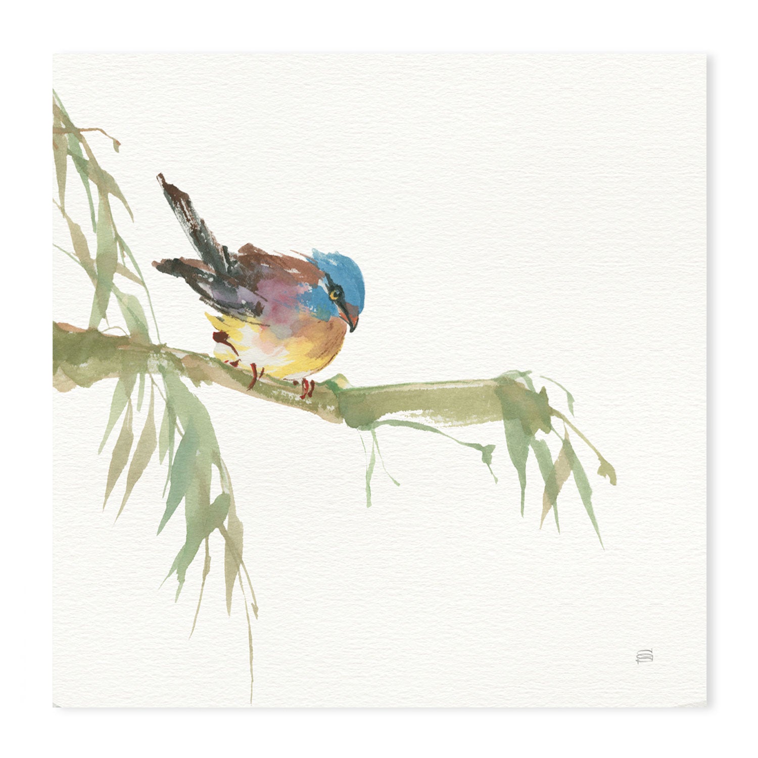 wall-art-print-canvas-poster-framed-Finch , By Chris Paschke-GIOIA-WALL-ART