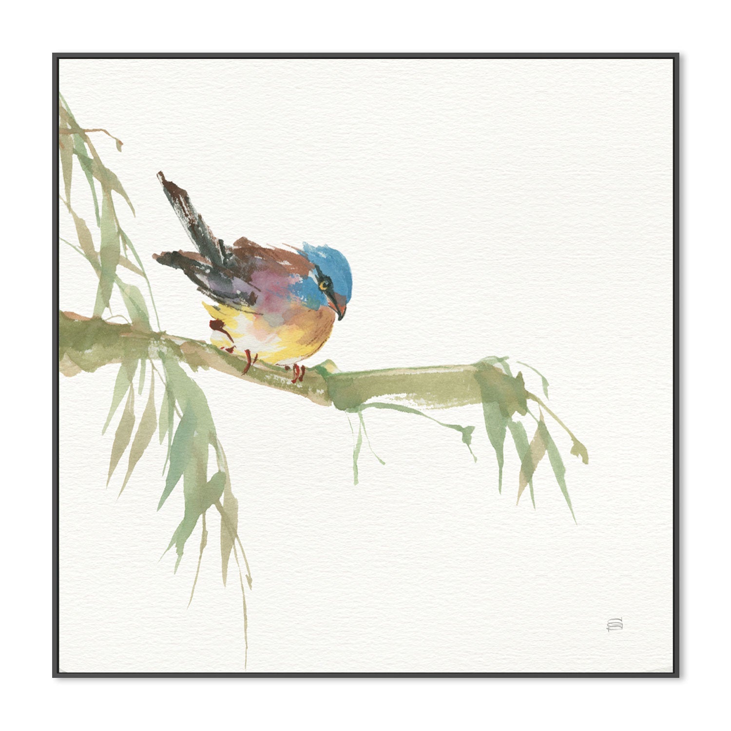 wall-art-print-canvas-poster-framed-Finch , By Chris Paschke-GIOIA-WALL-ART