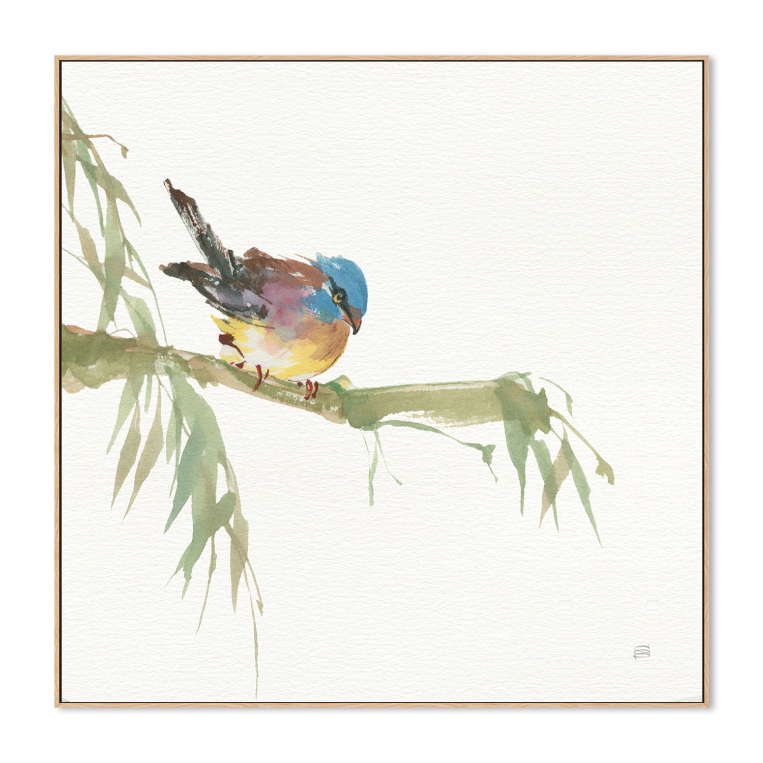 wall-art-print-canvas-poster-framed-Finch , By Chris Paschke-GIOIA-WALL-ART