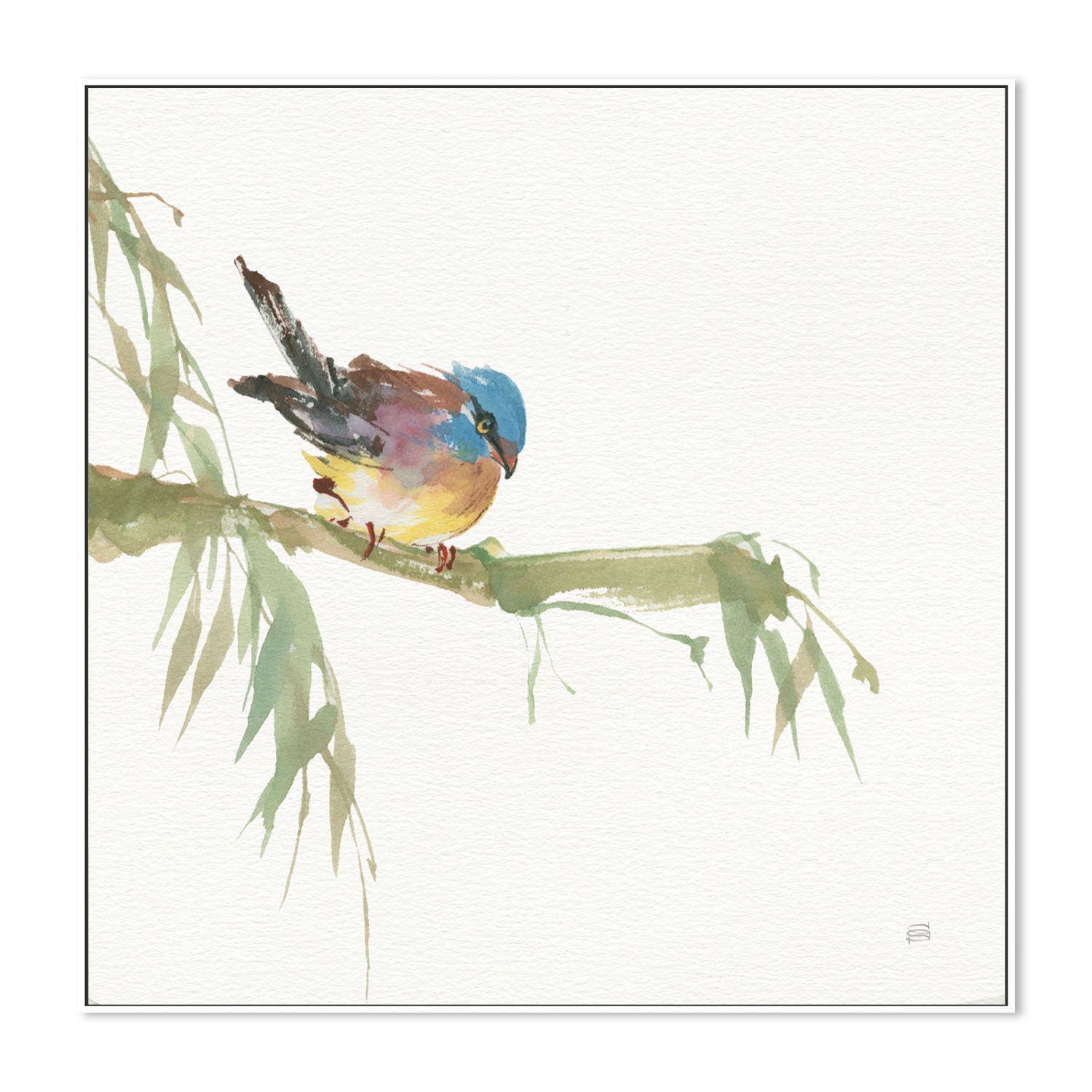 wall-art-print-canvas-poster-framed-Finch , By Chris Paschke-GIOIA-WALL-ART