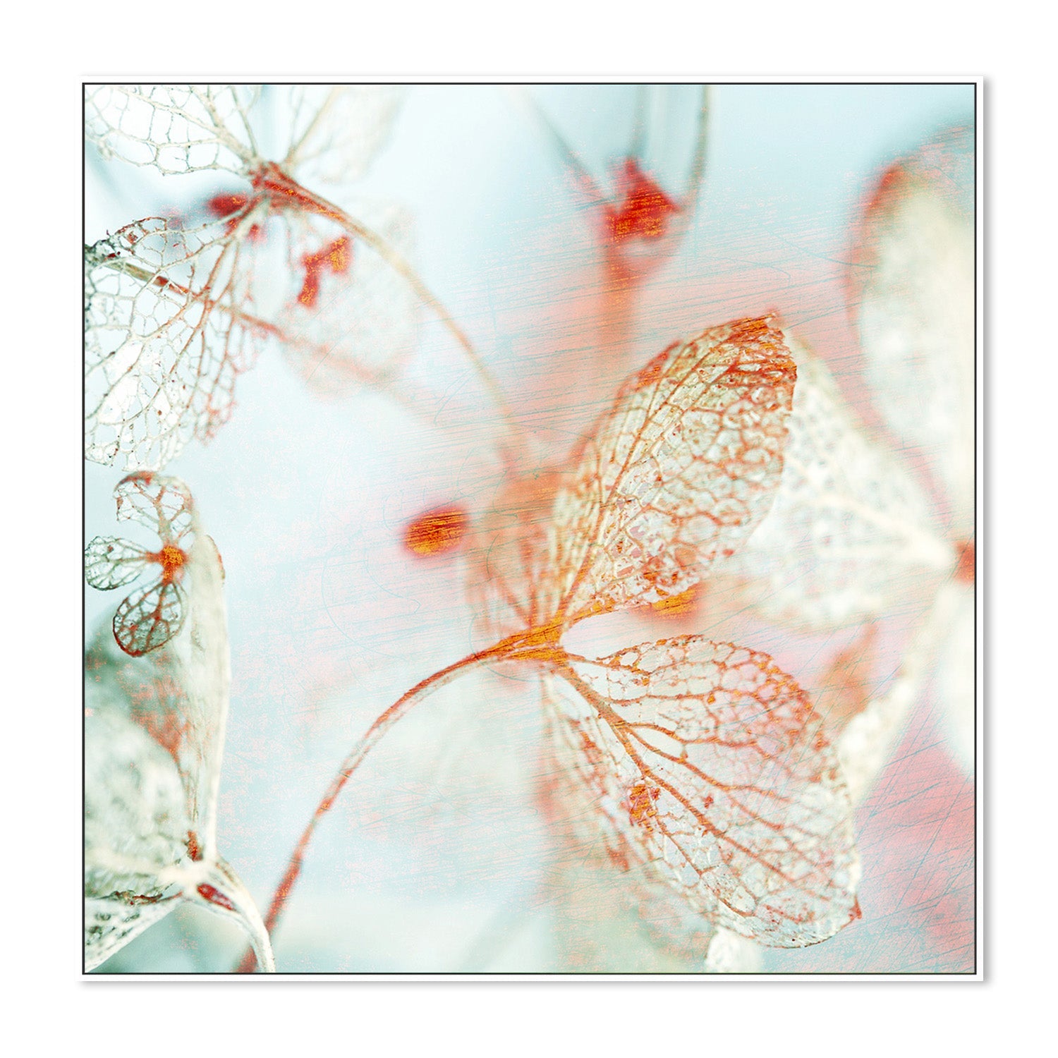 wall-art-print-canvas-poster-framed-Floral Blues, Style B-5
