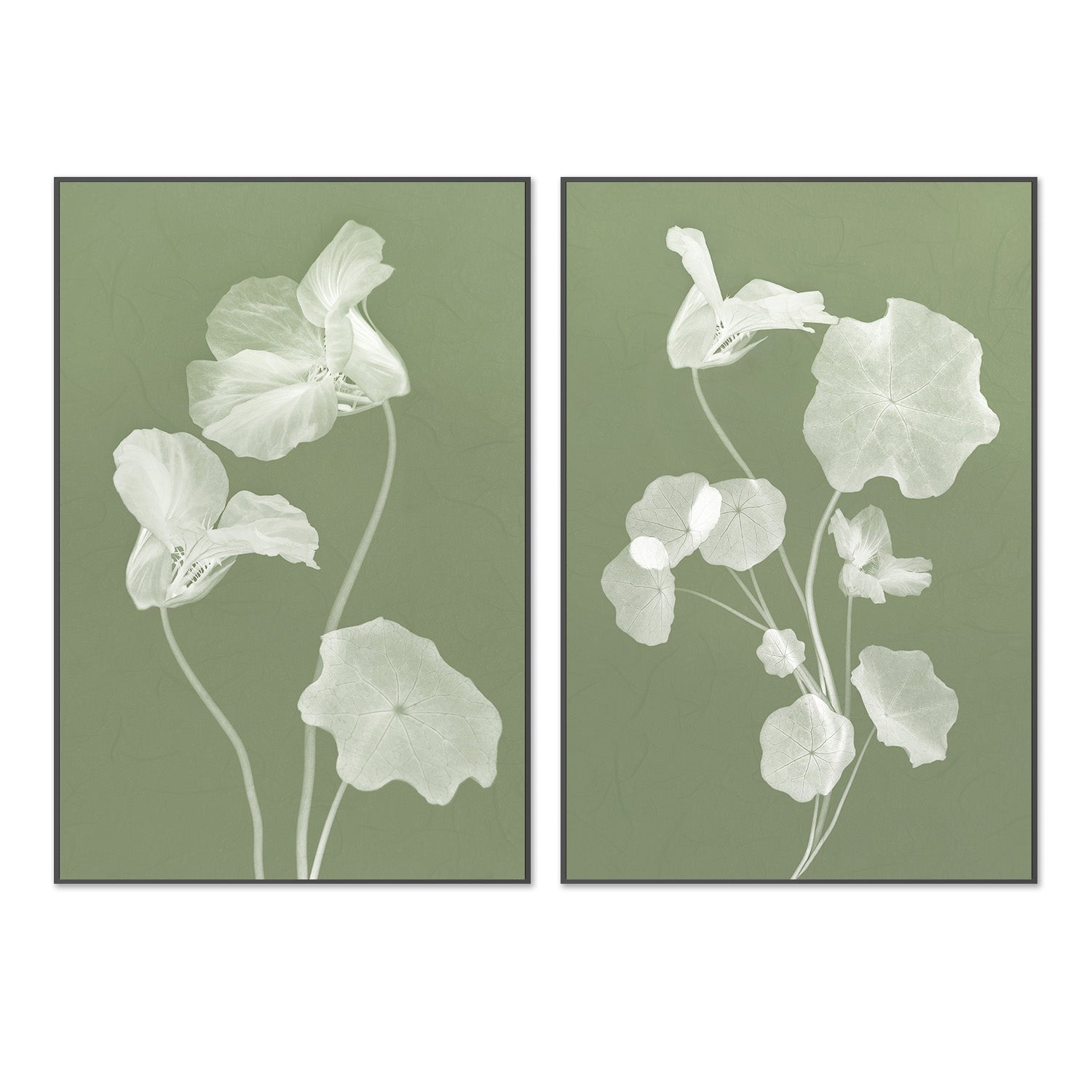 wall-art-print-canvas-poster-framed-Floral Dancer, Style A & B, Set Of 2 , By Leda Robertson-3