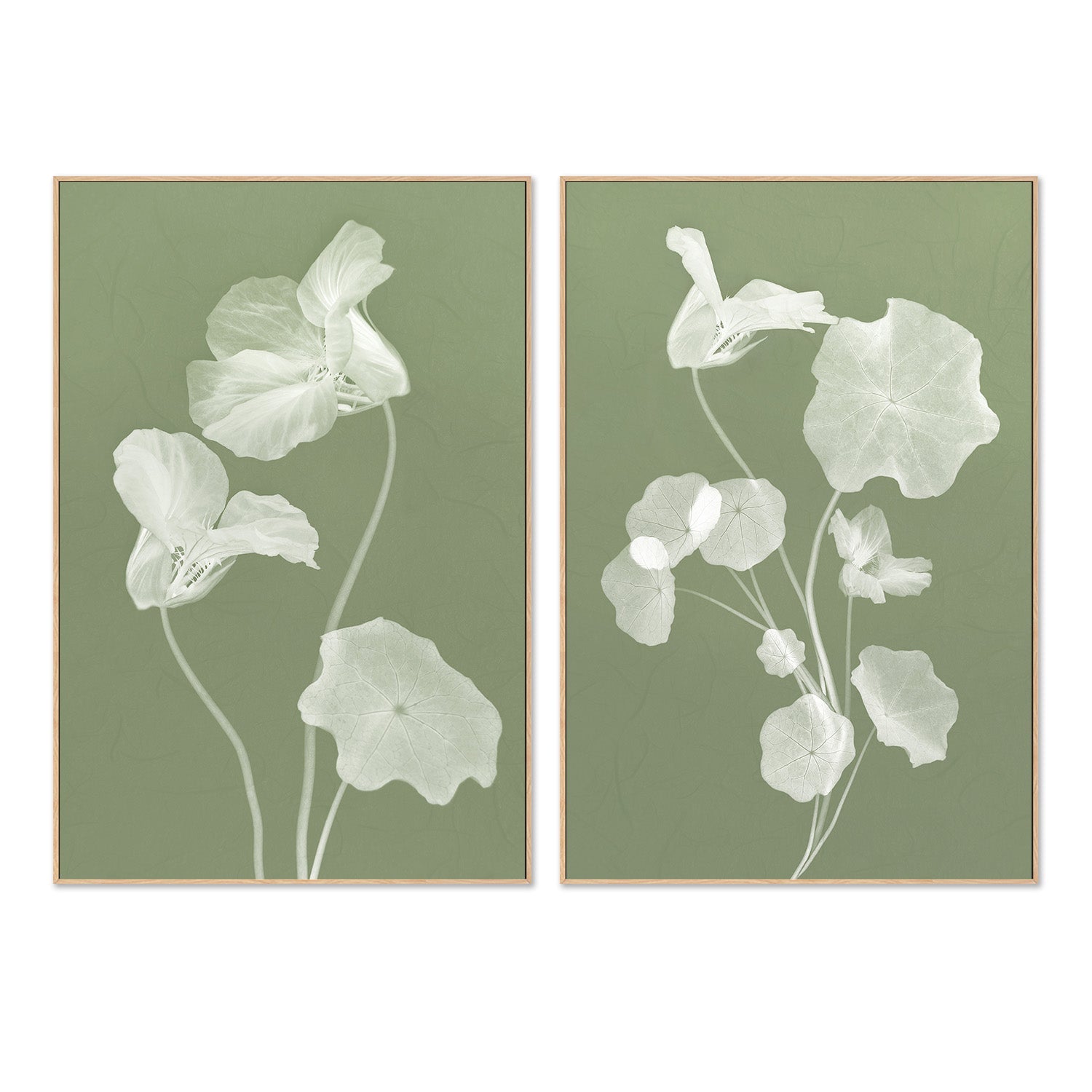 wall-art-print-canvas-poster-framed-Floral Dancer, Style A & B, Set Of 2 , By Leda Robertson-4