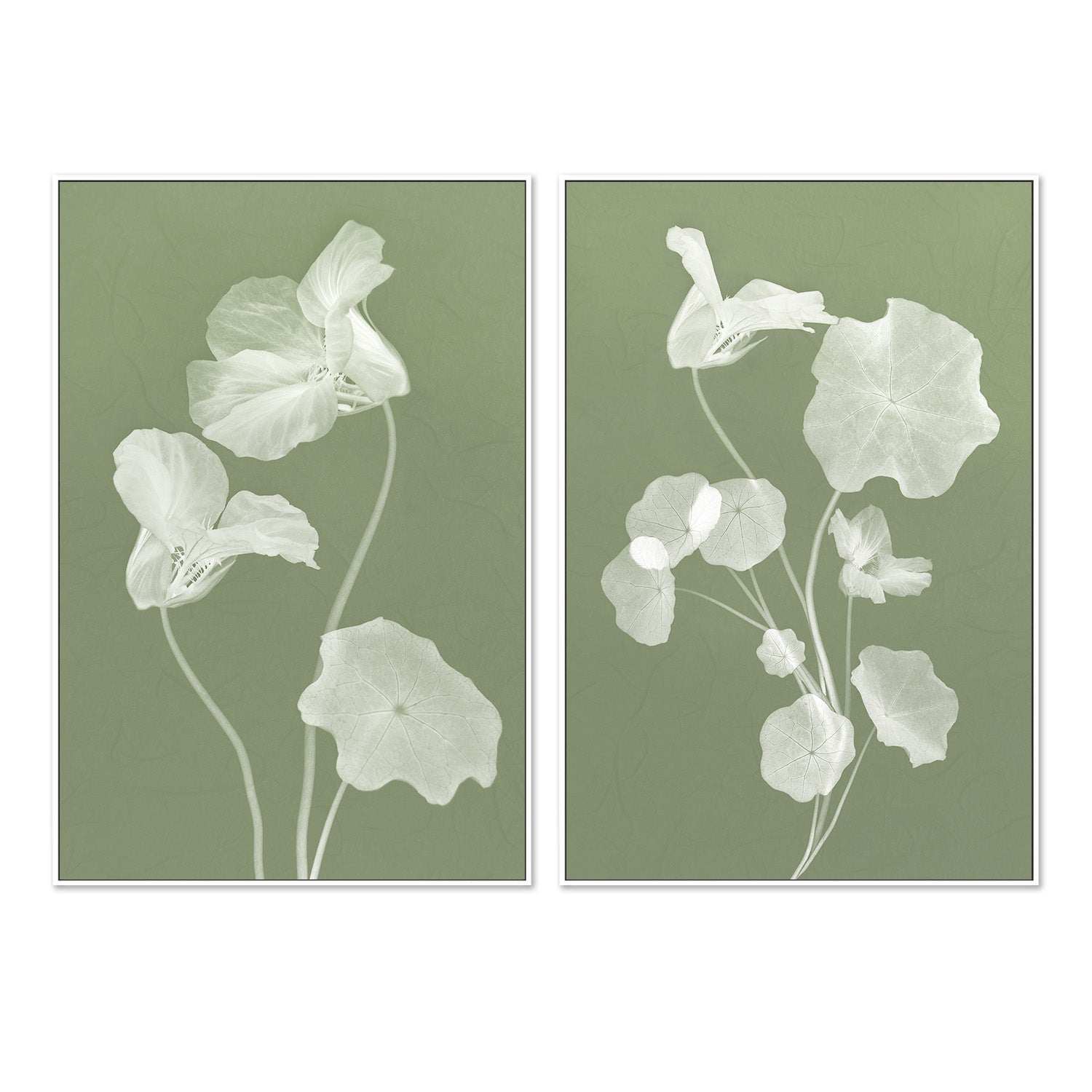 wall-art-print-canvas-poster-framed-Floral Dancer, Style A & B, Set Of 2 , By Leda Robertson-5