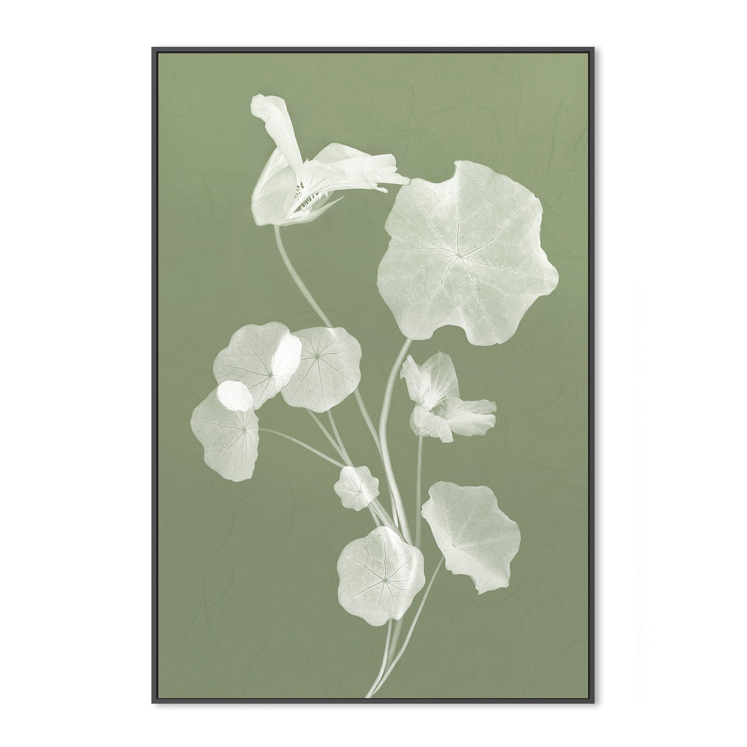wall-art-print-canvas-poster-framed-Floral Dancer, Style B , By Leda Robertson-3