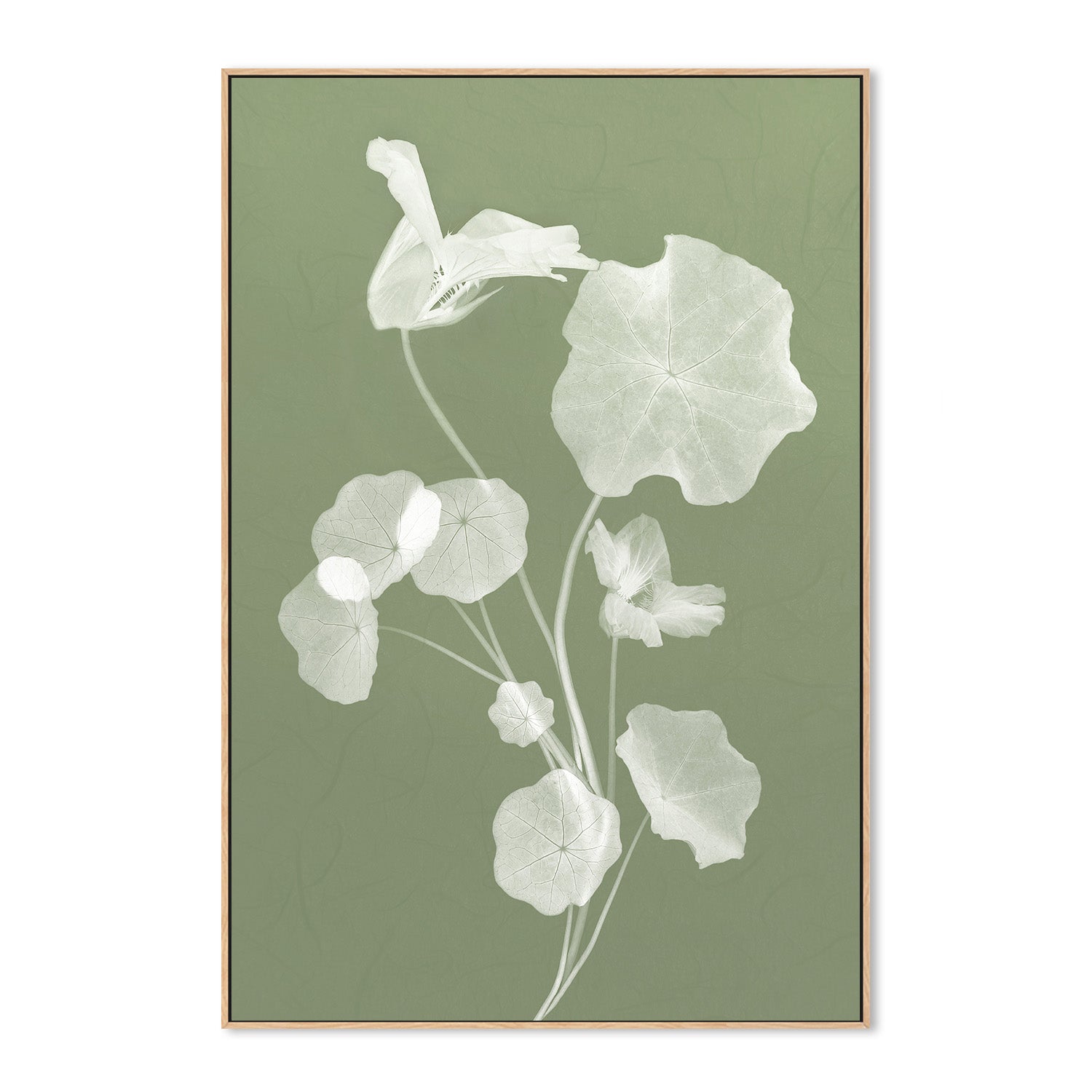 wall-art-print-canvas-poster-framed-Floral Dancer, Style B , By Leda Robertson-4