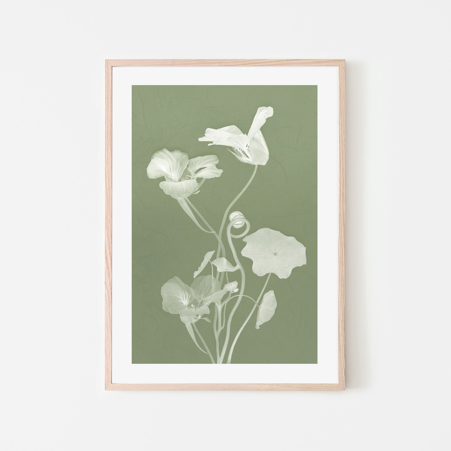 wall-art-print-canvas-poster-framed-Floral Dancer, Style C , By Leda Robertson-6