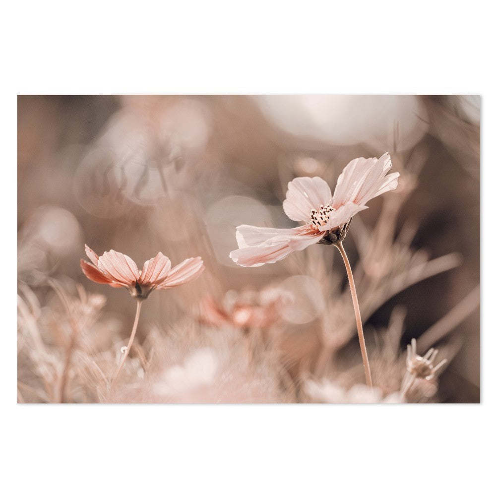 wall-art-print-canvas-poster-framed-Flowers Of Innocence, By Fabien Bravin-by-Plus X Studio-Gioia Wall Art