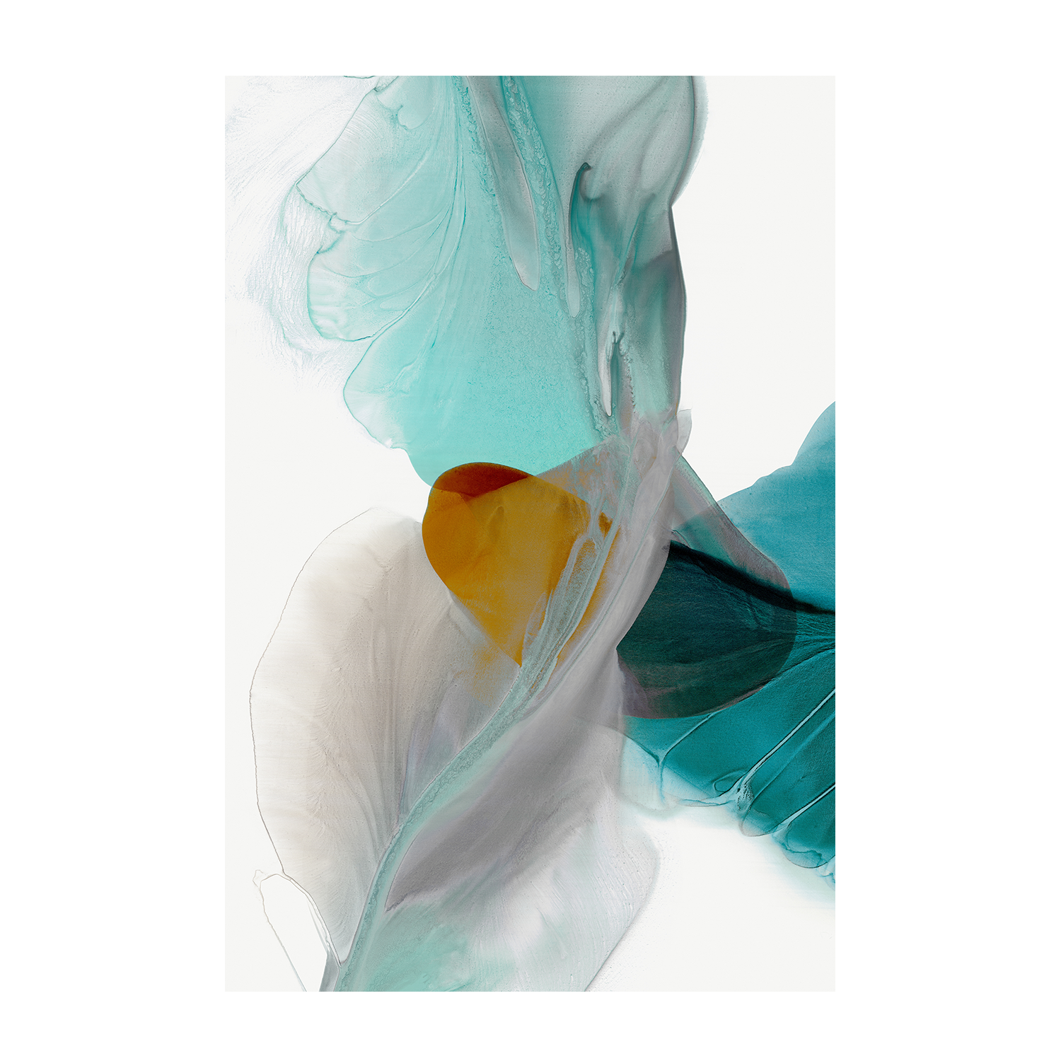 wall-art-print-canvas-poster-framed-Fluttering & Wind Blows, Set Of 2-8