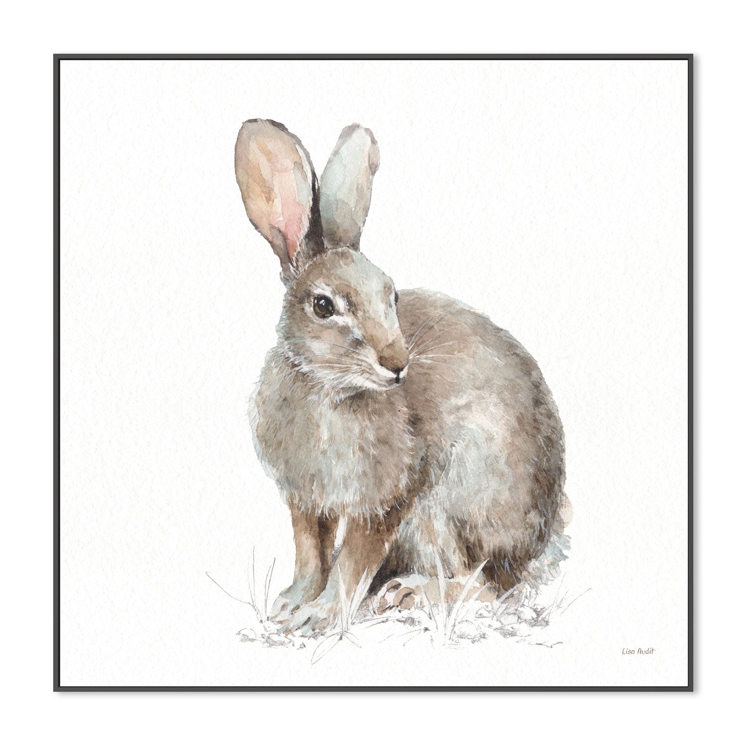 wall-art-print-canvas-poster-framed-Forest Friends, Style B , By Lisa Audit-GIOIA-WALL-ART