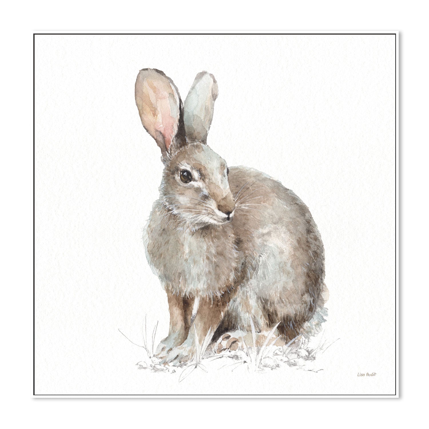 wall-art-print-canvas-poster-framed-Forest Friends, Style B , By Lisa Audit-GIOIA-WALL-ART