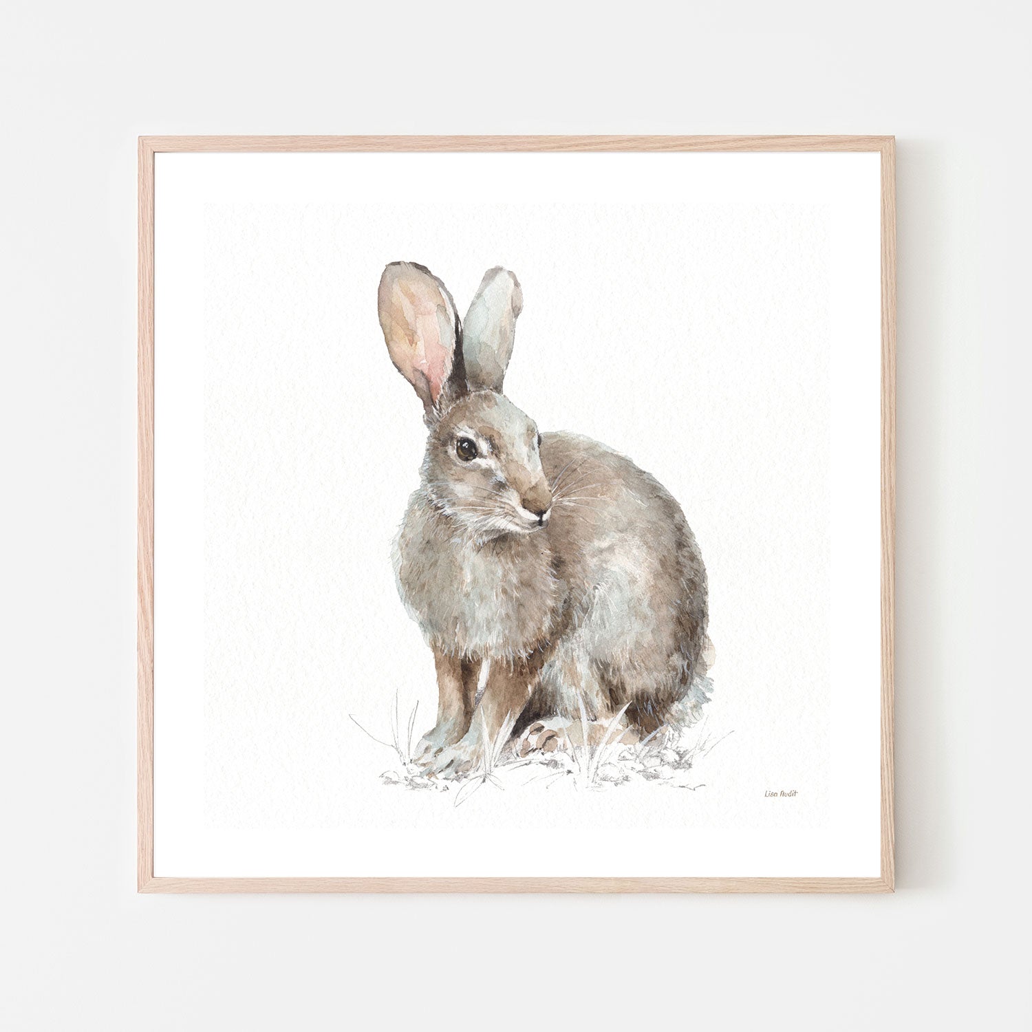 wall-art-print-canvas-poster-framed-Forest Friends, Style B , By Lisa Audit-GIOIA-WALL-ART
