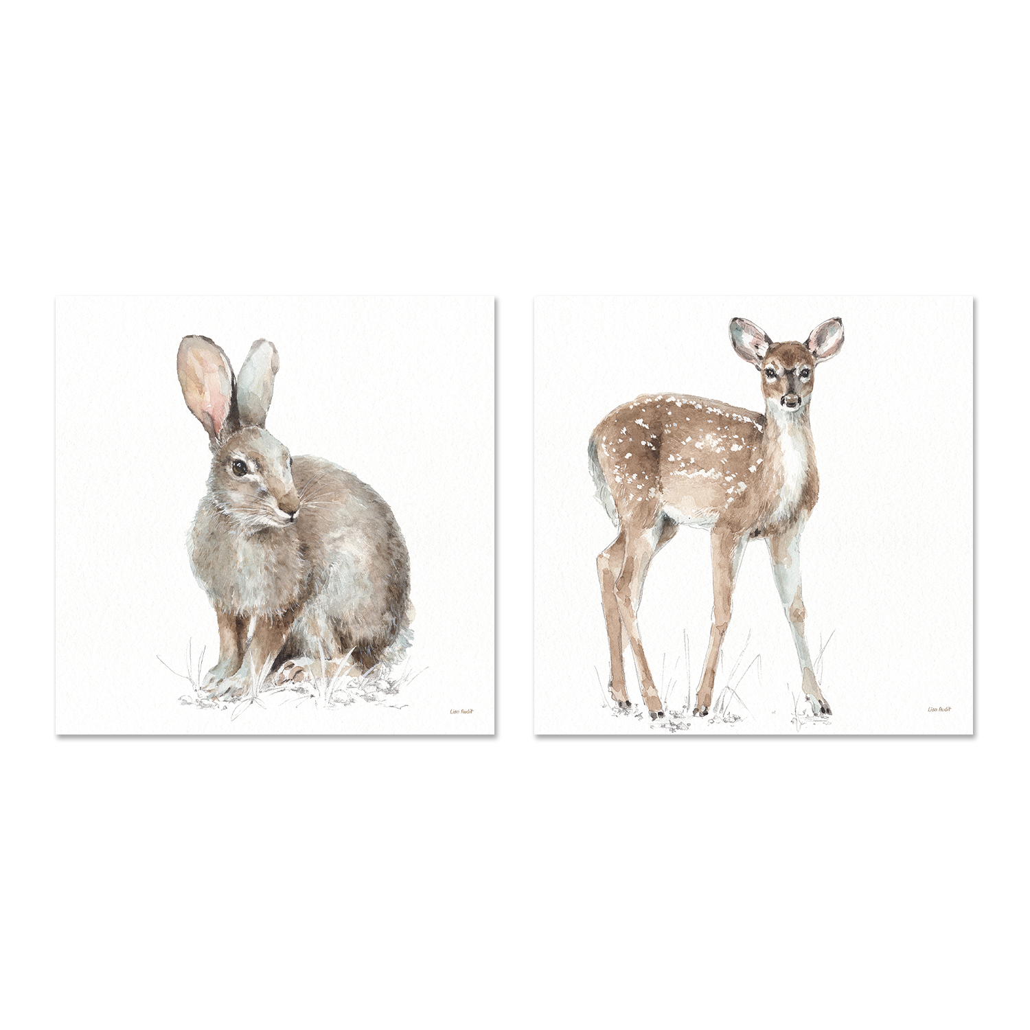wall-art-print-canvas-poster-framed-Forest Friends, Style B & D, Set Of 2 , By Lisa Audit-GIOIA-WALL-ART
