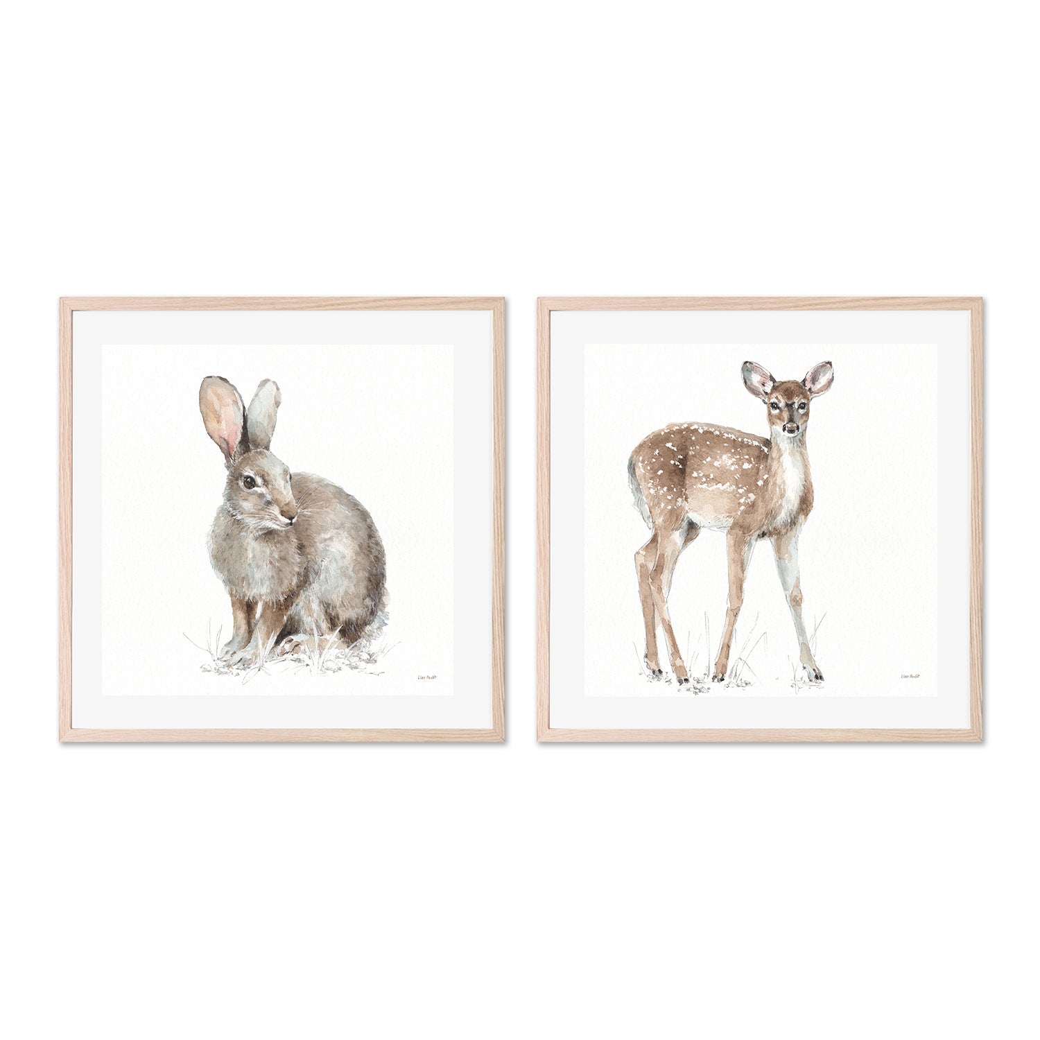 wall-art-print-canvas-poster-framed-Forest Friends, Style B & D, Set Of 2 , By Lisa Audit-GIOIA-WALL-ART