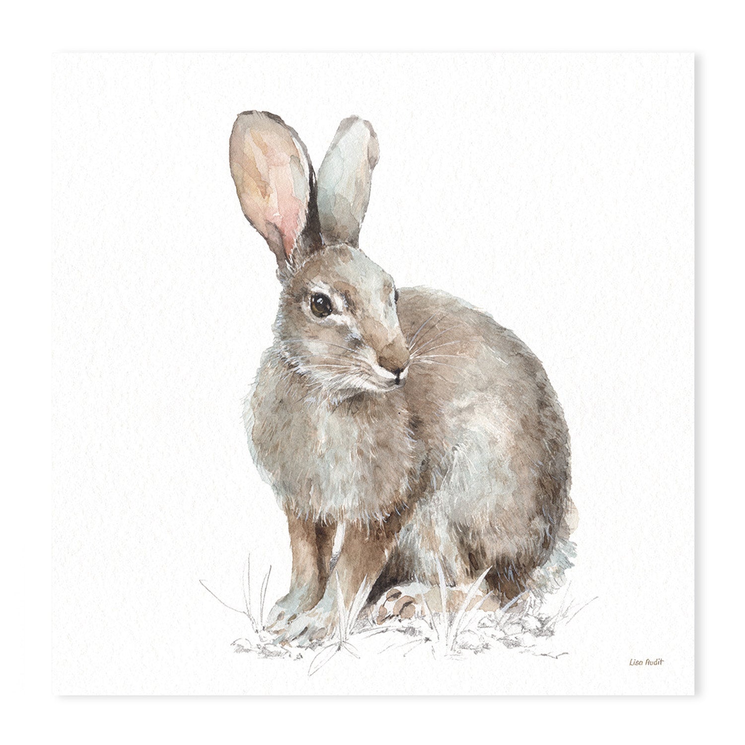 wall-art-print-canvas-poster-framed-Forest Friends, Style B & D, Set Of 2 , By Lisa Audit-GIOIA-WALL-ART