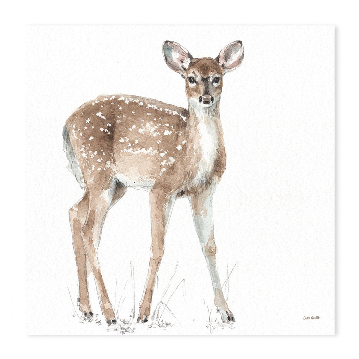 wall-art-print-canvas-poster-framed-Forest Friends, Style B & D, Set Of 2 , By Lisa Audit-GIOIA-WALL-ART
