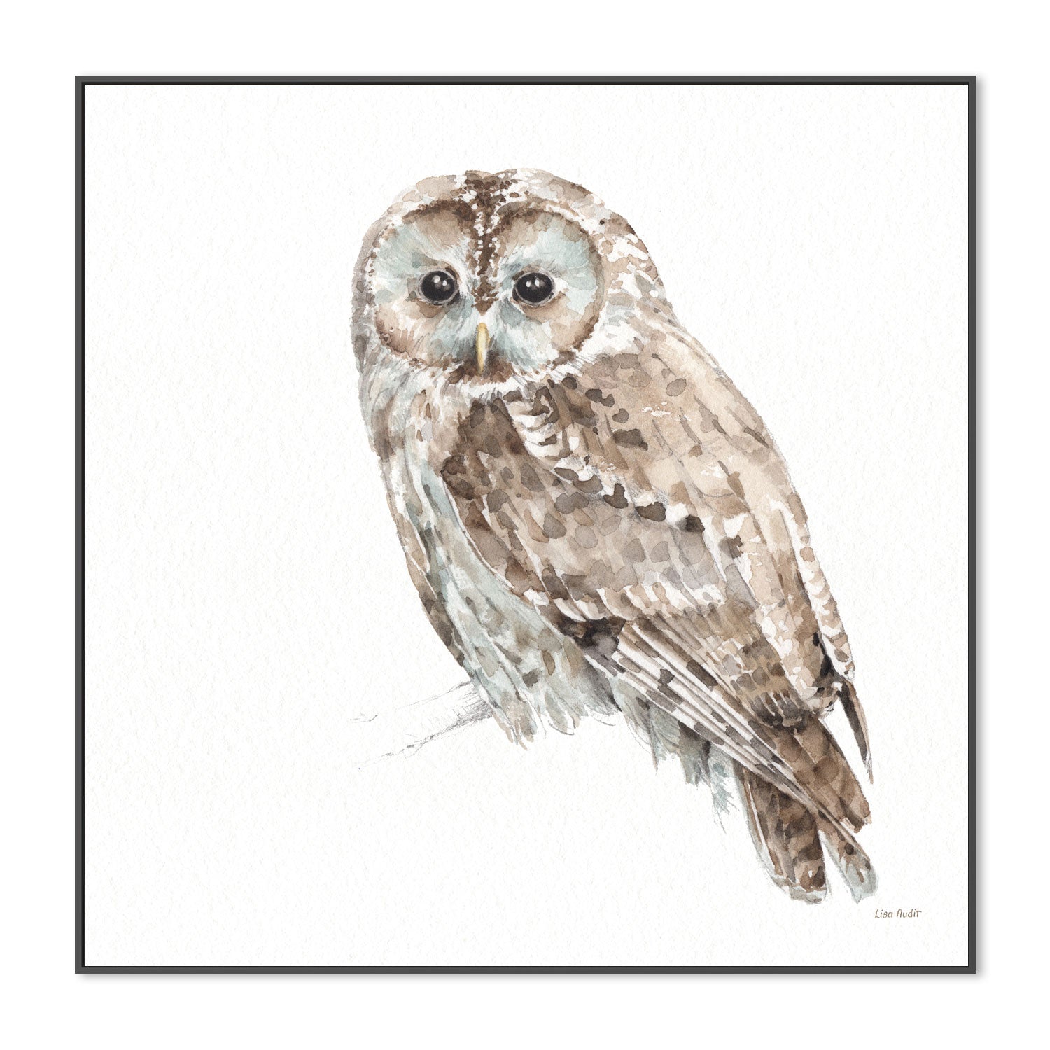 wall-art-print-canvas-poster-framed-Forest Friends, Style C , By Lisa Audit-GIOIA-WALL-ART