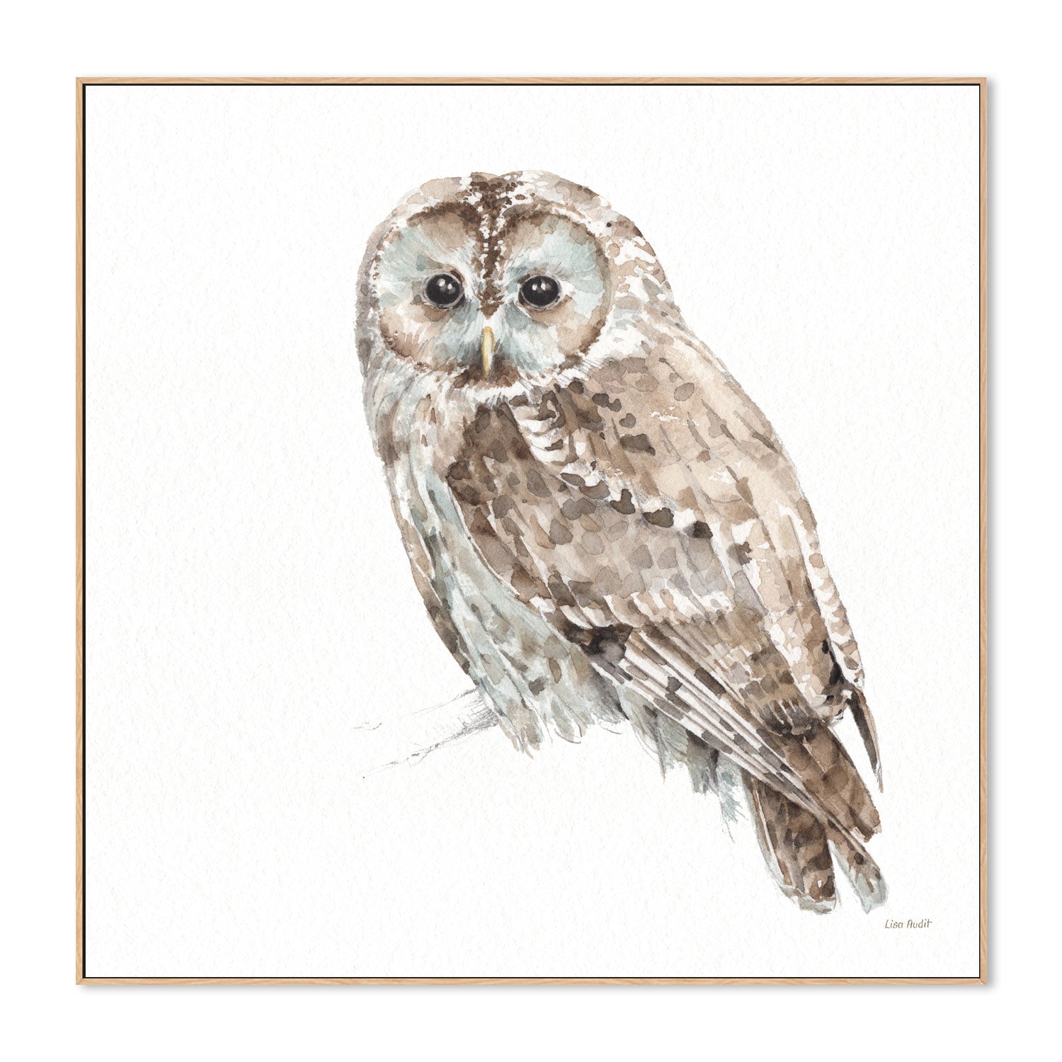 wall-art-print-canvas-poster-framed-Forest Friends, Style C , By Lisa Audit-GIOIA-WALL-ART