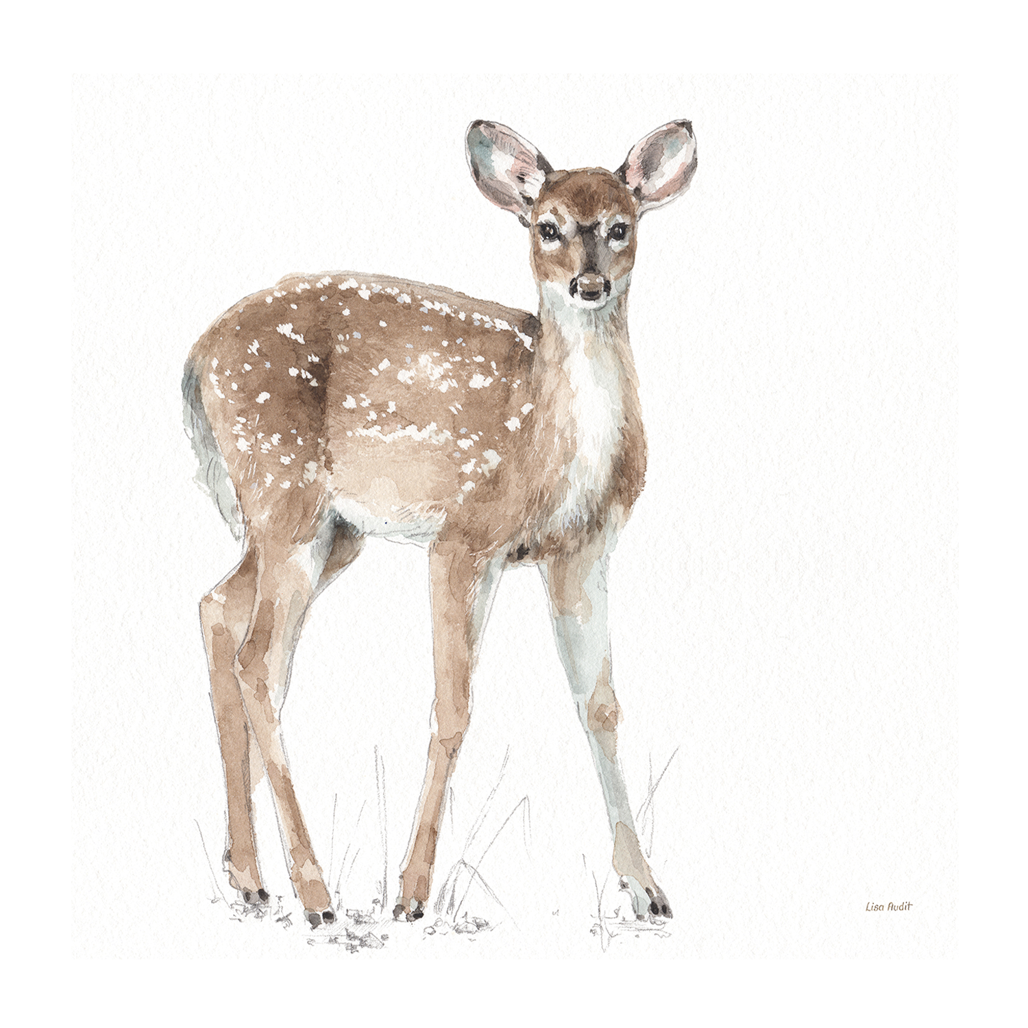 wall-art-print-canvas-poster-framed-Forest Friends, Style D , By Lisa Audit-GIOIA-WALL-ART
