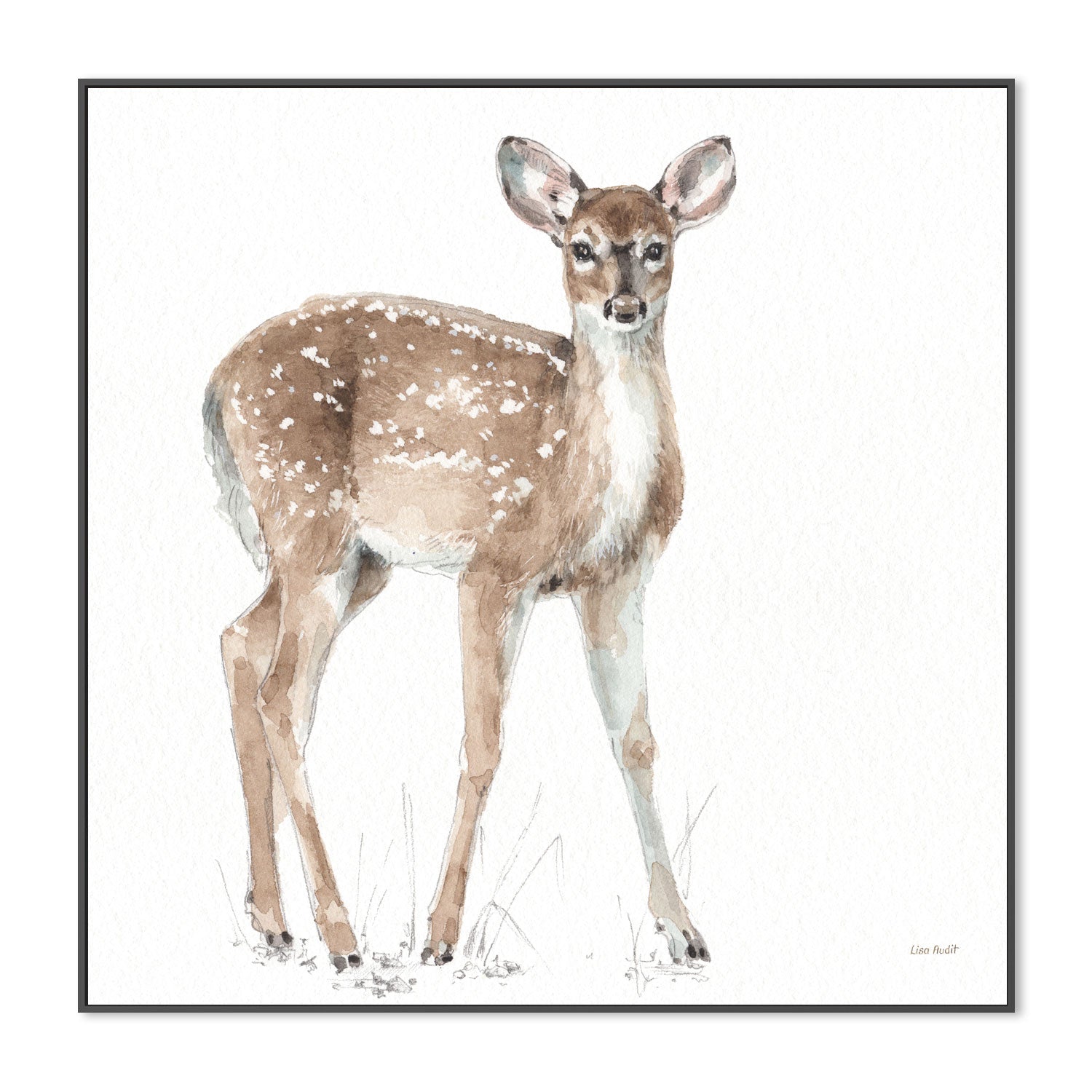 wall-art-print-canvas-poster-framed-Forest Friends, Style D , By Lisa Audit-GIOIA-WALL-ART