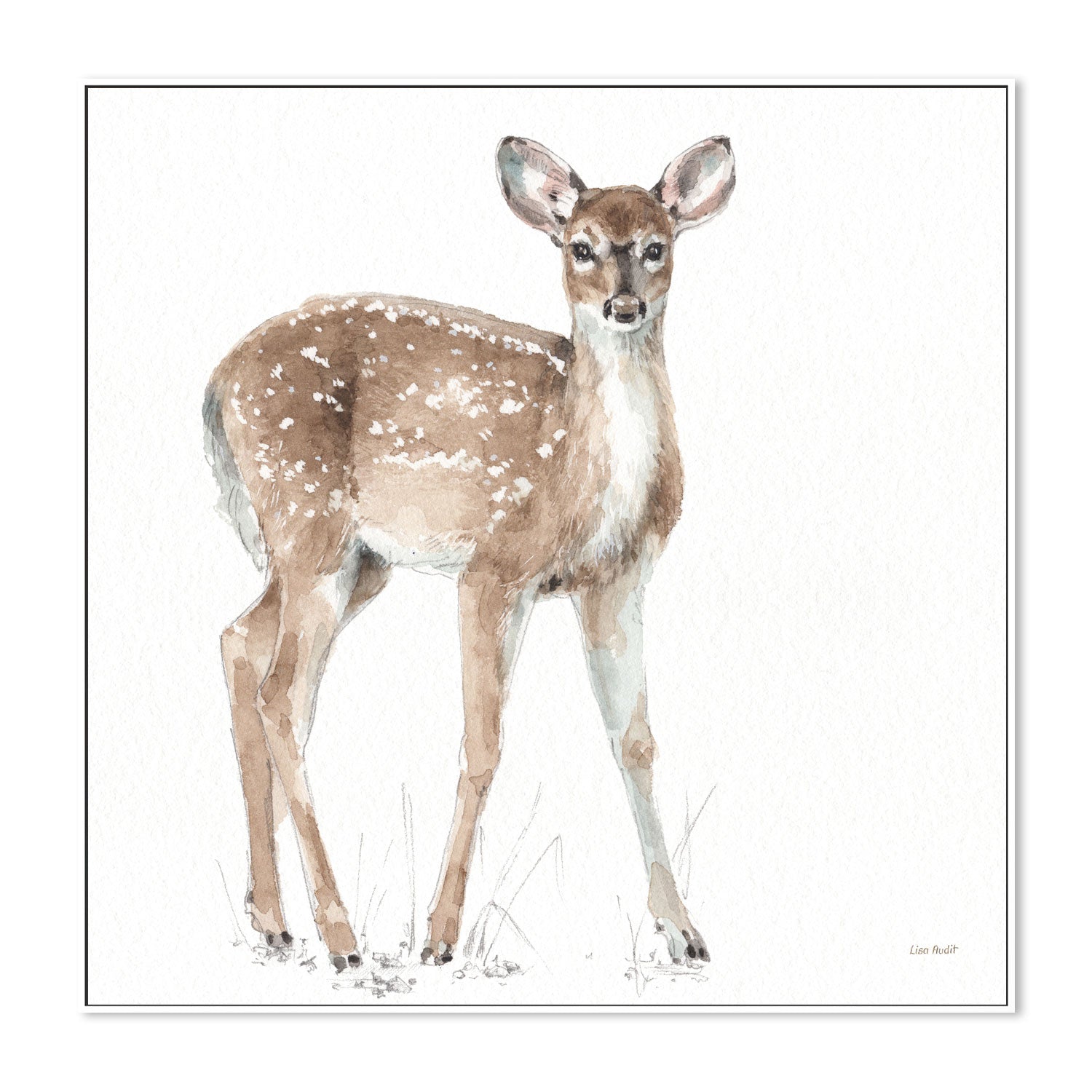 wall-art-print-canvas-poster-framed-Forest Friends, Style D , By Lisa Audit-GIOIA-WALL-ART