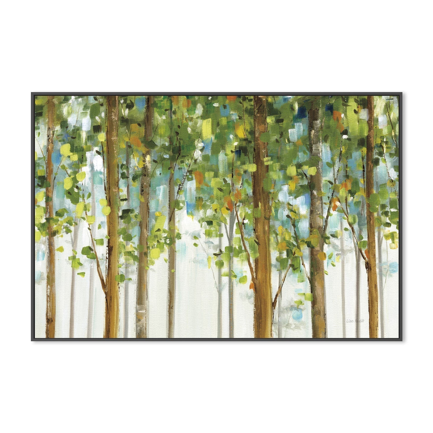 wall-art-print-canvas-poster-framed-Forest Study , By Lisa Audit-GIOIA-WALL-ART