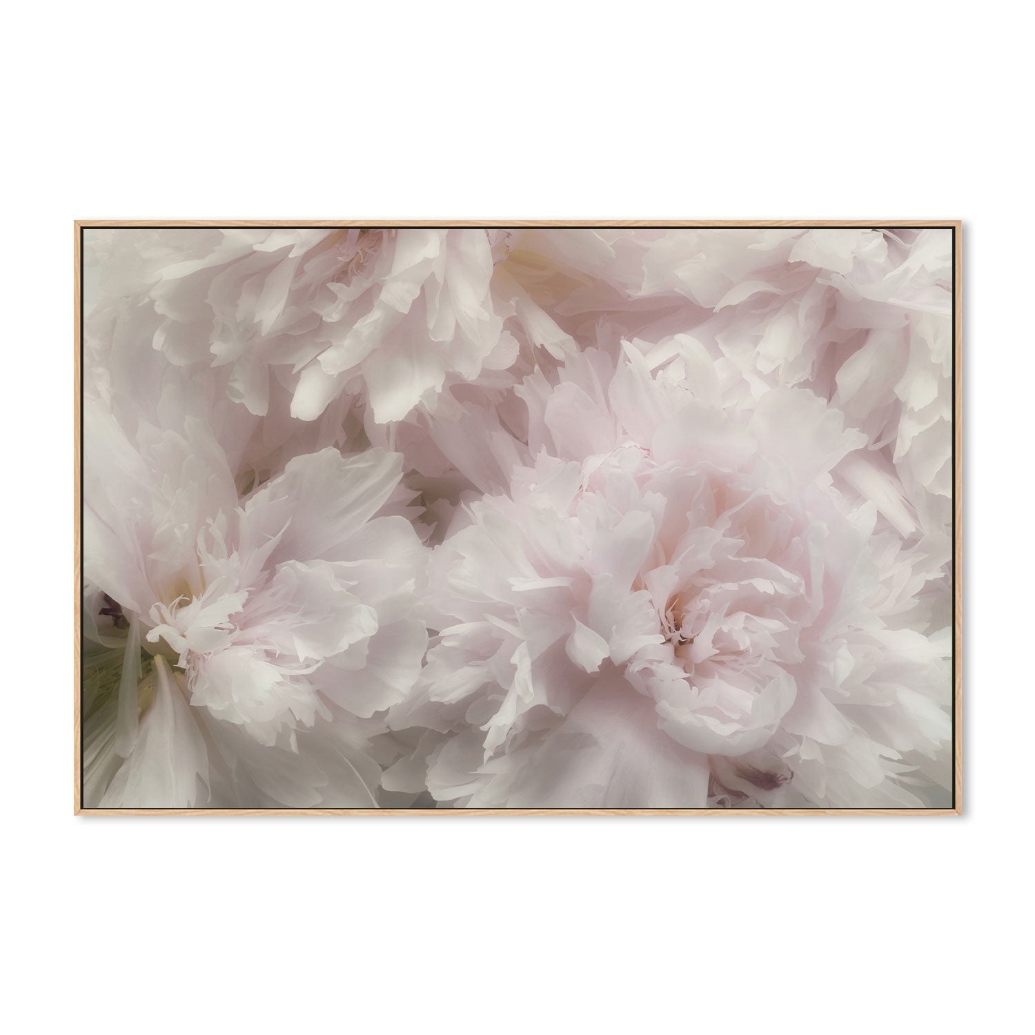 wall-art-print-canvas-poster-framed-Fragrant, by Heidi Westum-by-Plus X Studio-Gioia Wall Art
