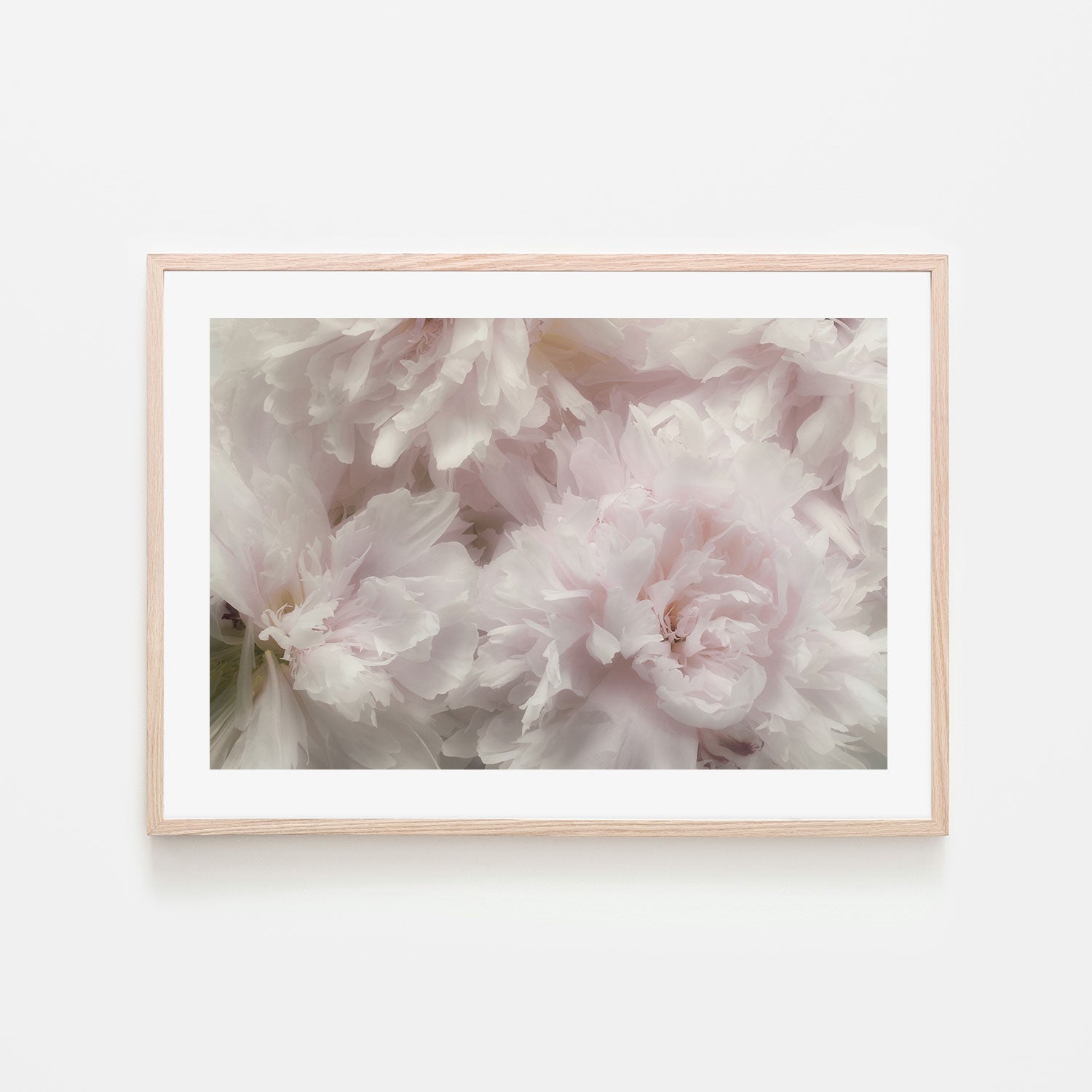 wall-art-print-canvas-poster-framed-Fragrant, by Heidi Westum-by-Plus X Studio-Gioia Wall Art