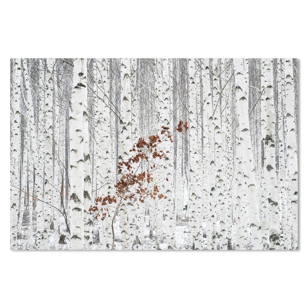 From White, by Donghee, Han-Framed-Canvas-Print-Poster-Gioia Wall Art