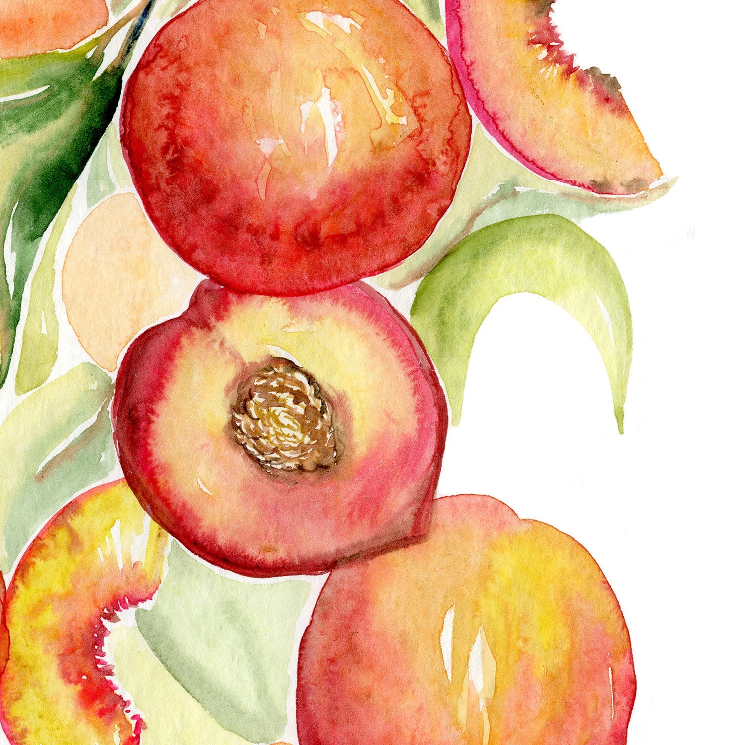 wall-art-print-canvas-poster-framed-Fruit collection - Peaches-10