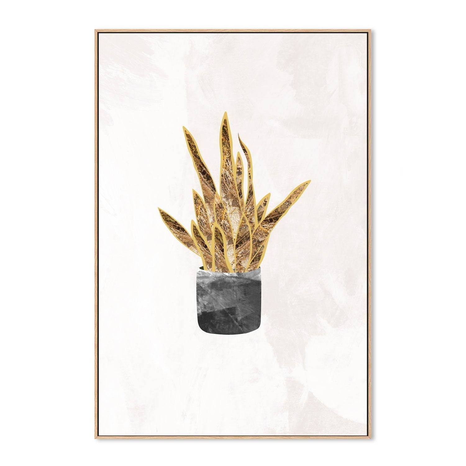 wall-art-print-canvas-poster-framed-Gold Snake Plant , By Sarah Manovski-GIOIA-WALL-ART