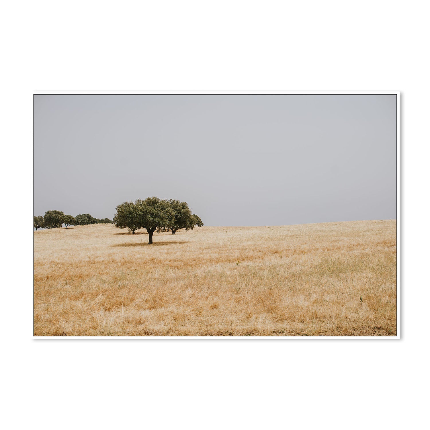 wall-art-print-canvas-poster-framed-Golden Landscape , By Hello Twiggs-5