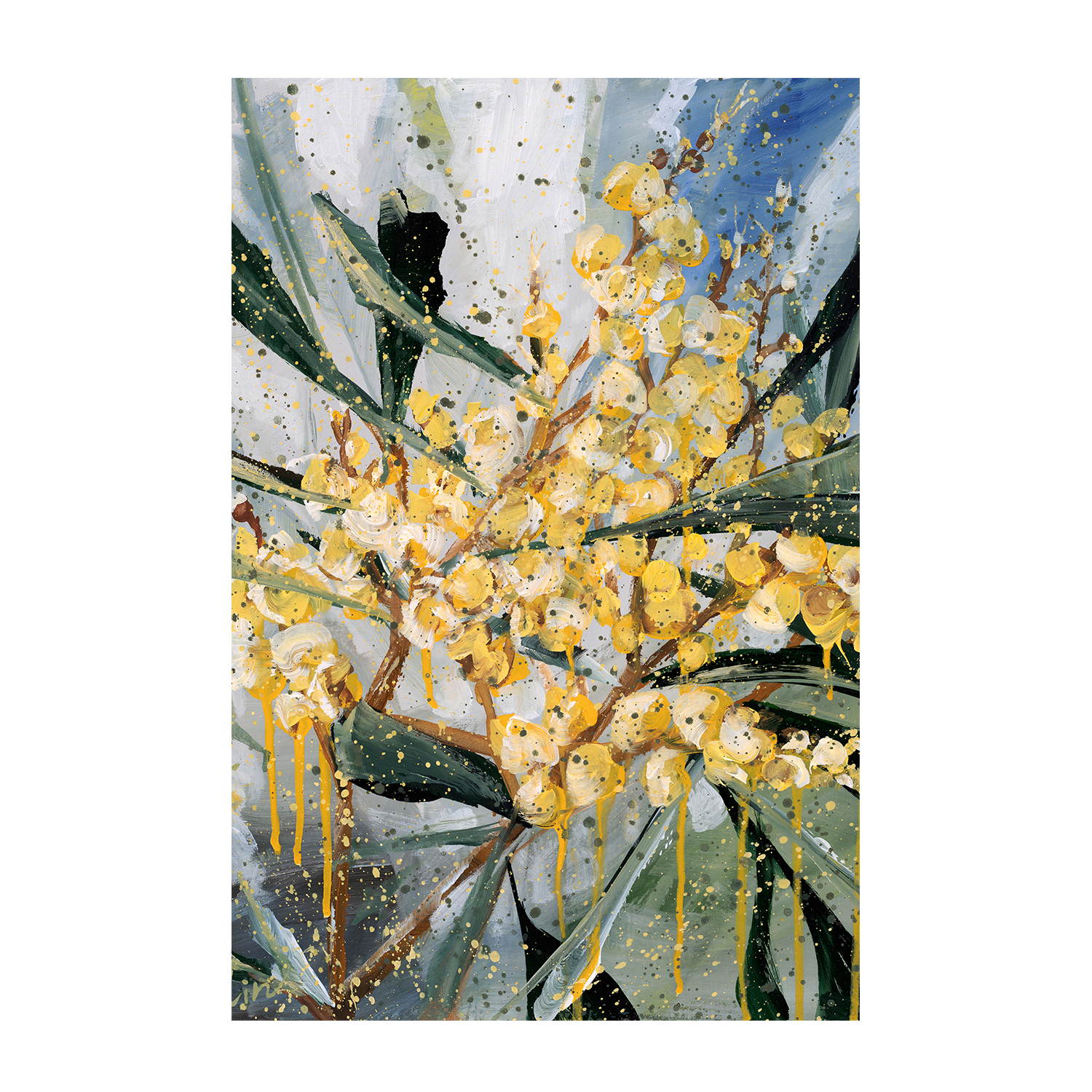 wall-art-print-canvas-poster-framed-Golden Wattle , By Hsin Lin-1