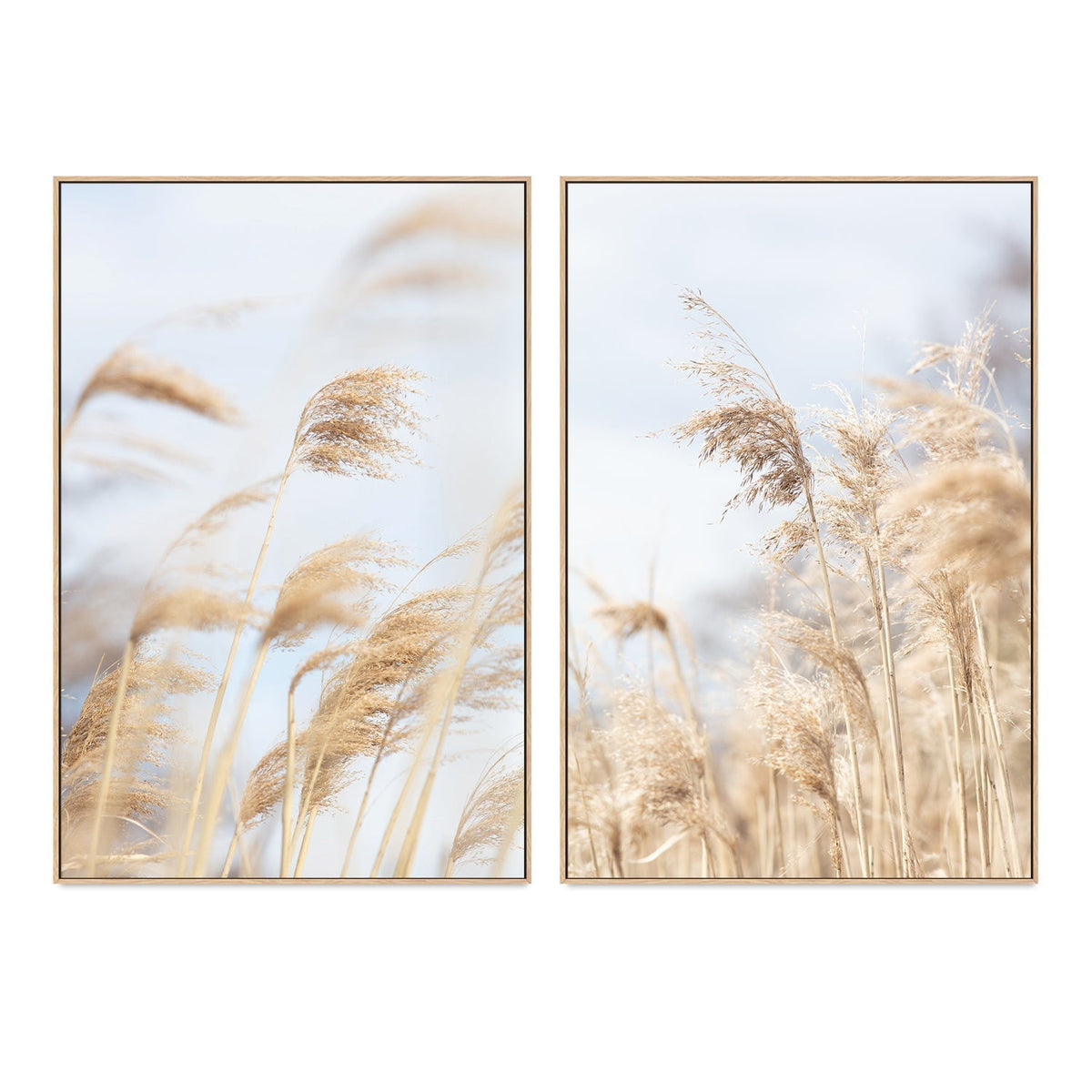 wall-art-print-canvas-poster-framed-Grass Reed And Sky, Set Of 2-by-Plus X Studio-Gioia Wall Art