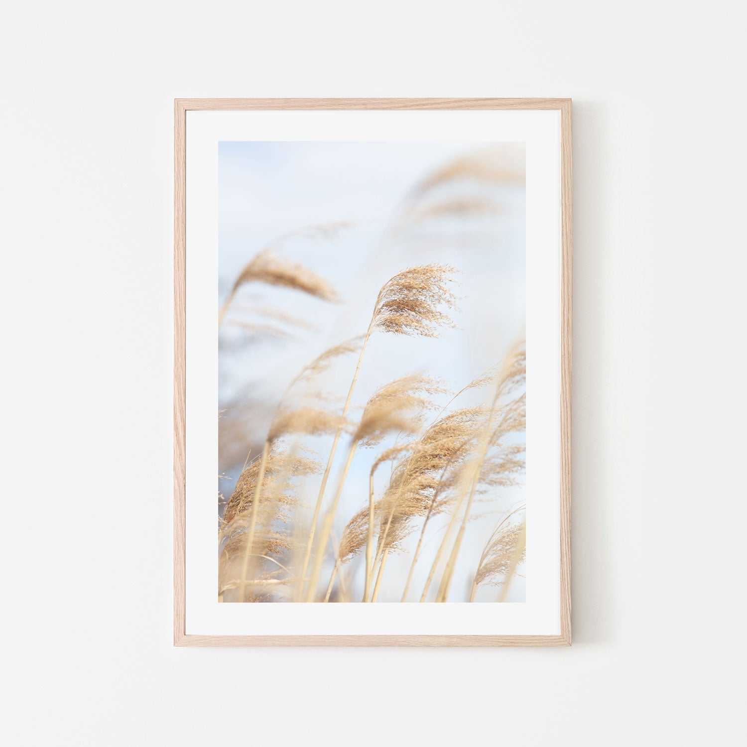 wall-art-print-canvas-poster-framed-Grass Reed And Sky, Style A-by-Plus X Studio-Gioia Wall Art