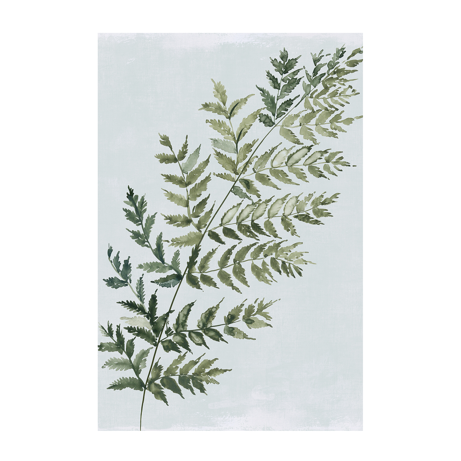 wall-art-print-canvas-poster-framed-Green Fern, Style A , By Asia Jensen-1