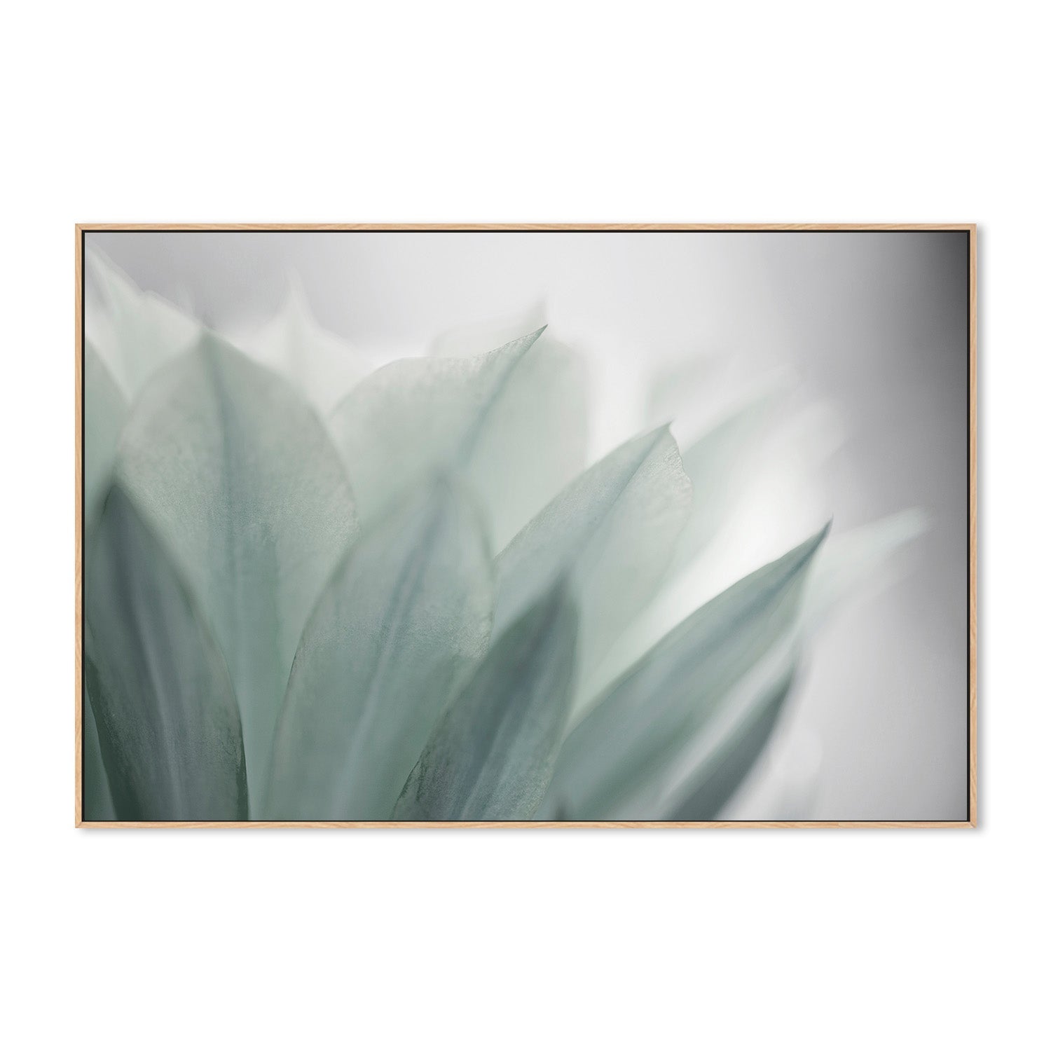 wall-art-print-canvas-poster-framed-Green Leaves Blooming , By Lily Mourier-4